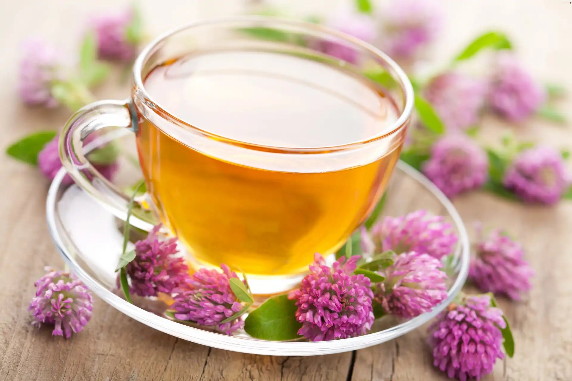 clover, blur, tea, Flowers, cup