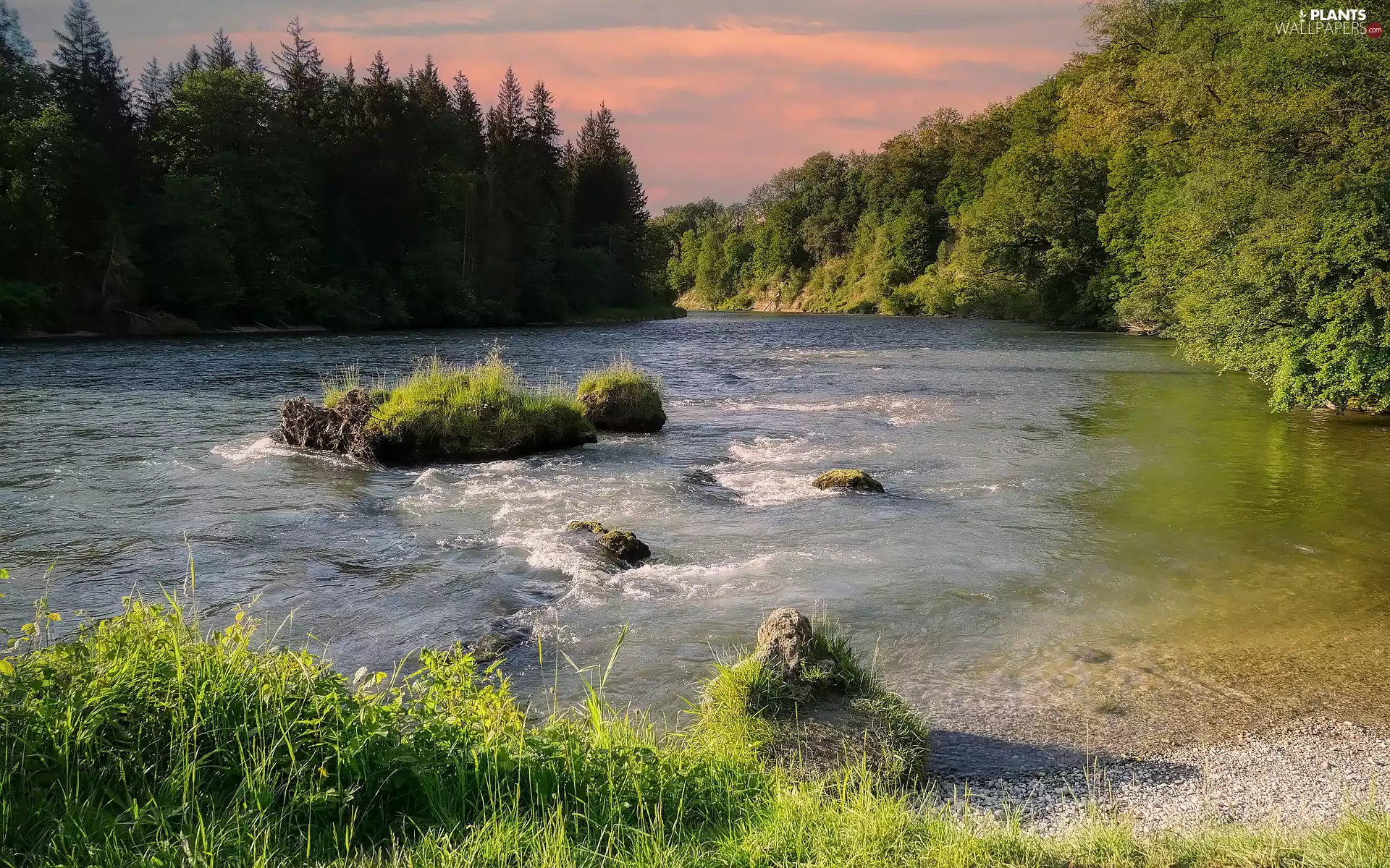 grass, Clumps, trees, viewes, River