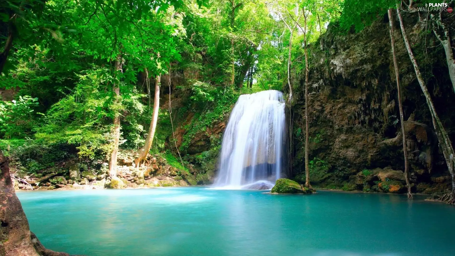 trees, waterfall, Plitvice, Coartia, viewes, lake