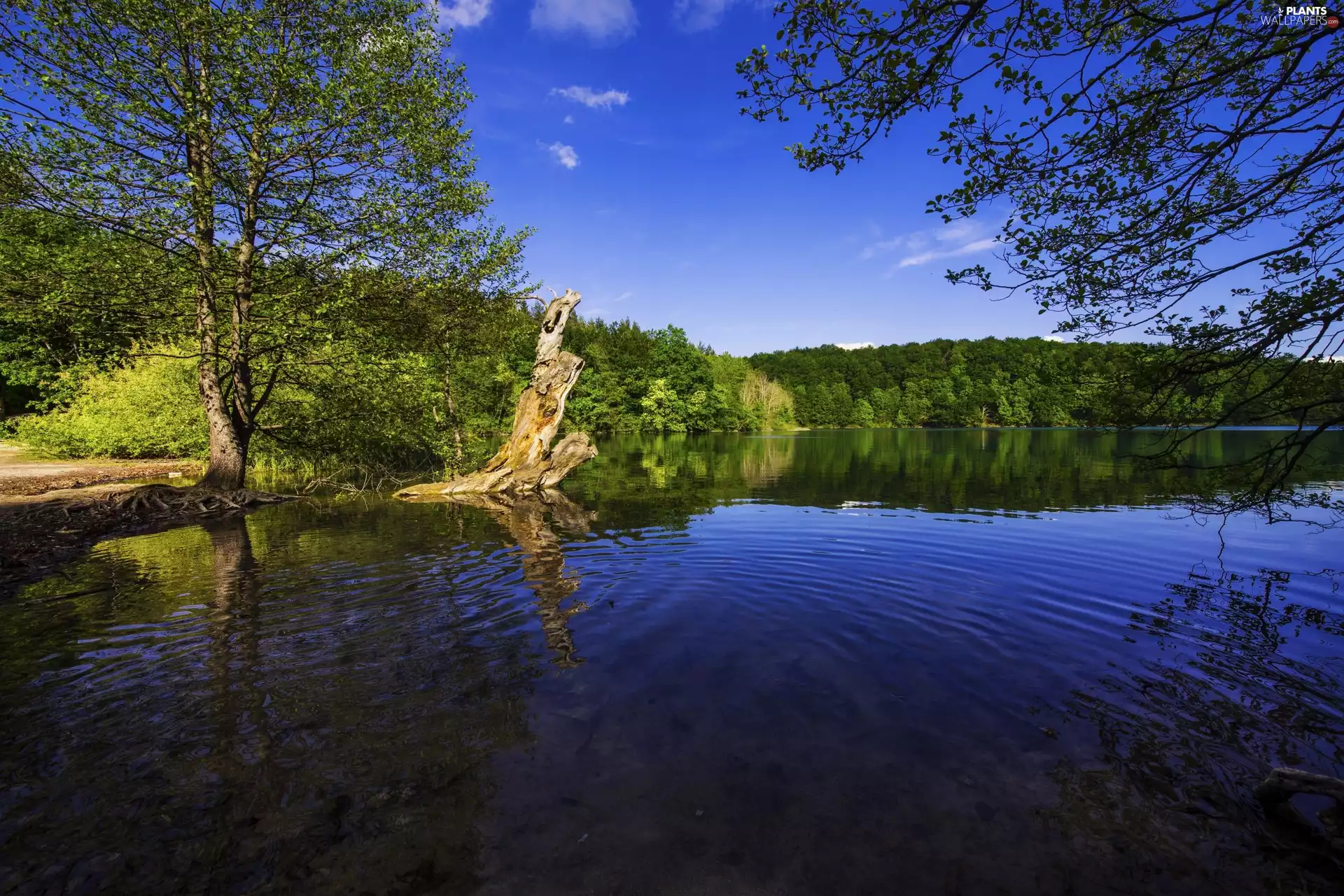 trees, viewes, Plitvice Lakes National Park, lake, Coartia