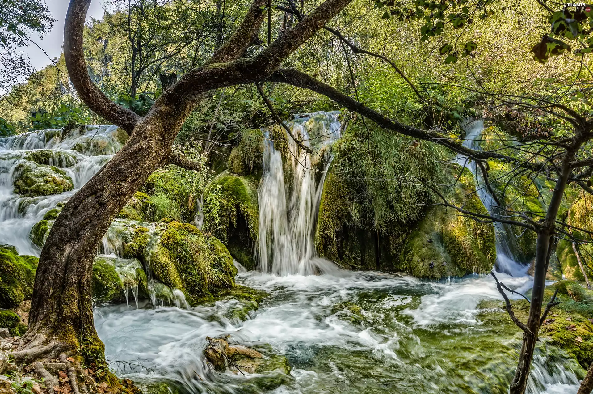 trees, viewes, Plitvice Lakes National Park, waterfall, Coartia