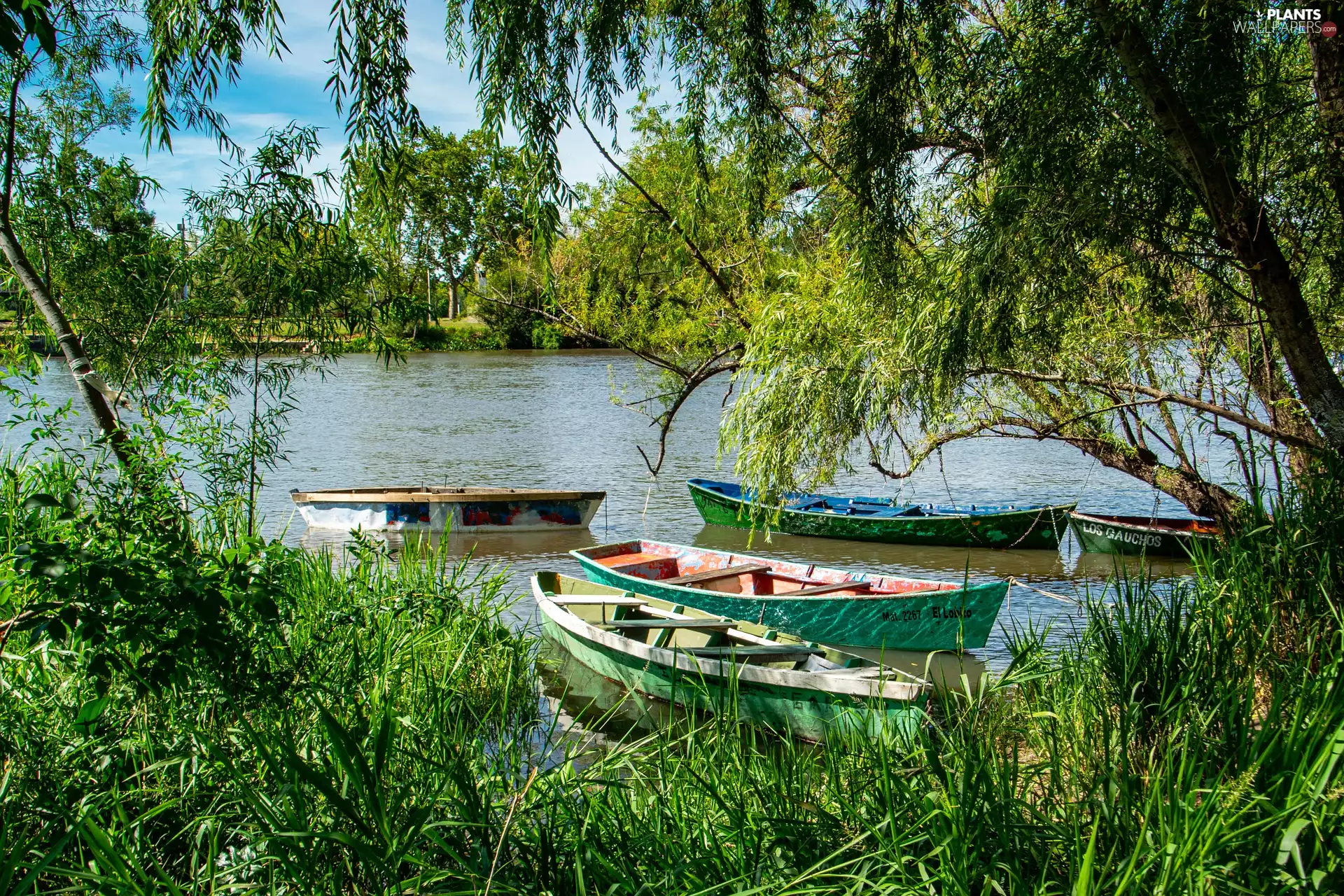 viewes, coast, River, trees, boats