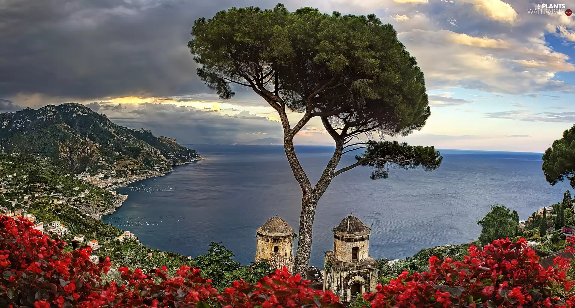 sea, trees, Flowers, Coast