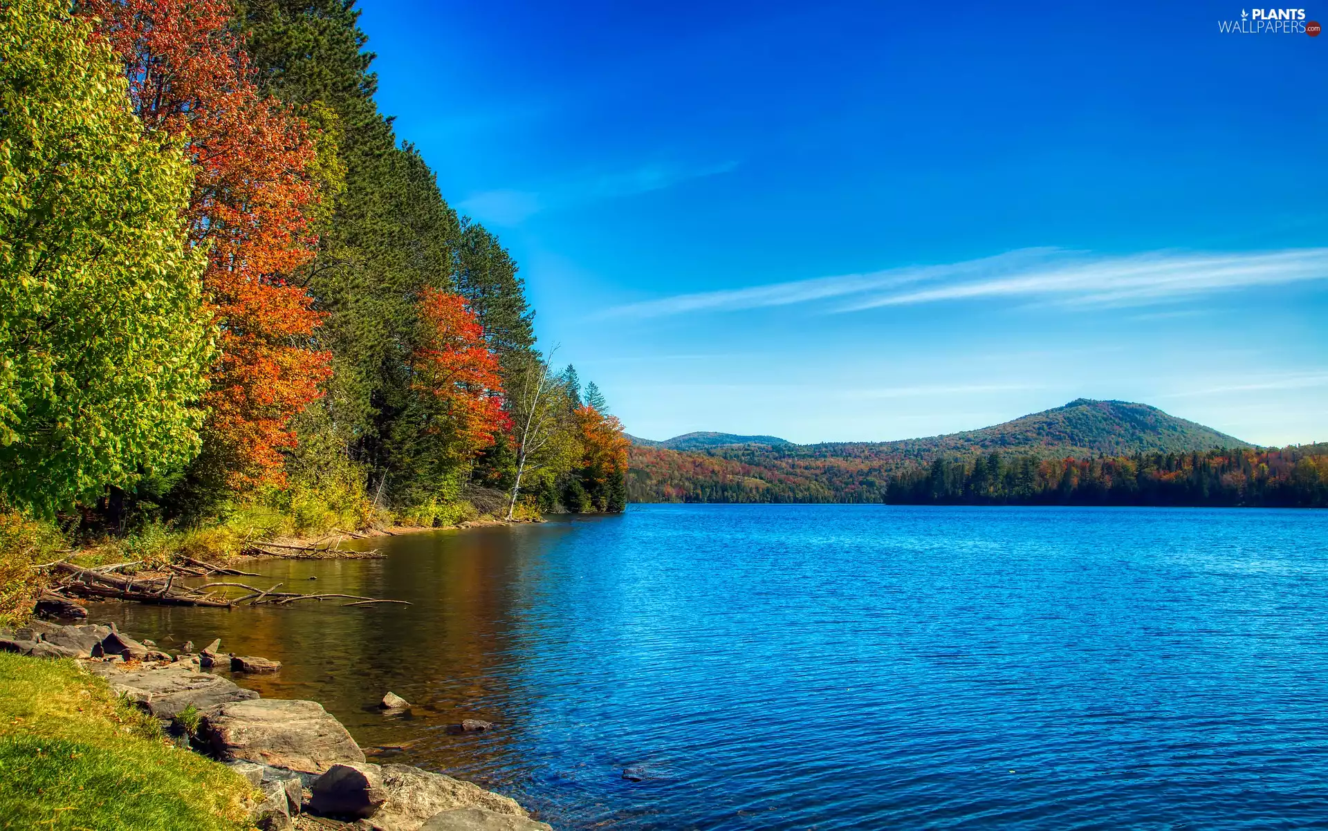 lake, coast, trees, viewes, autumn