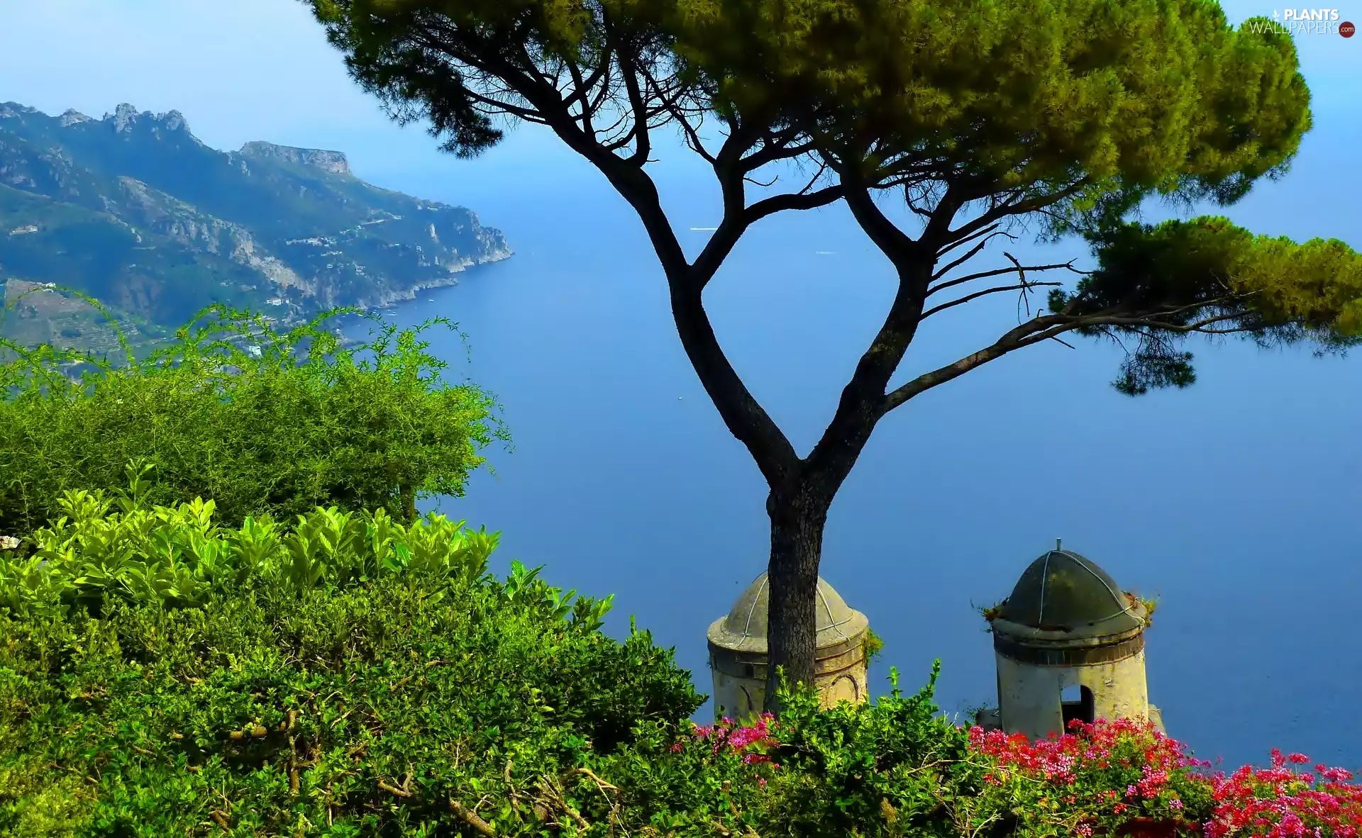 Italy, Coast, trees, Ravello, sea