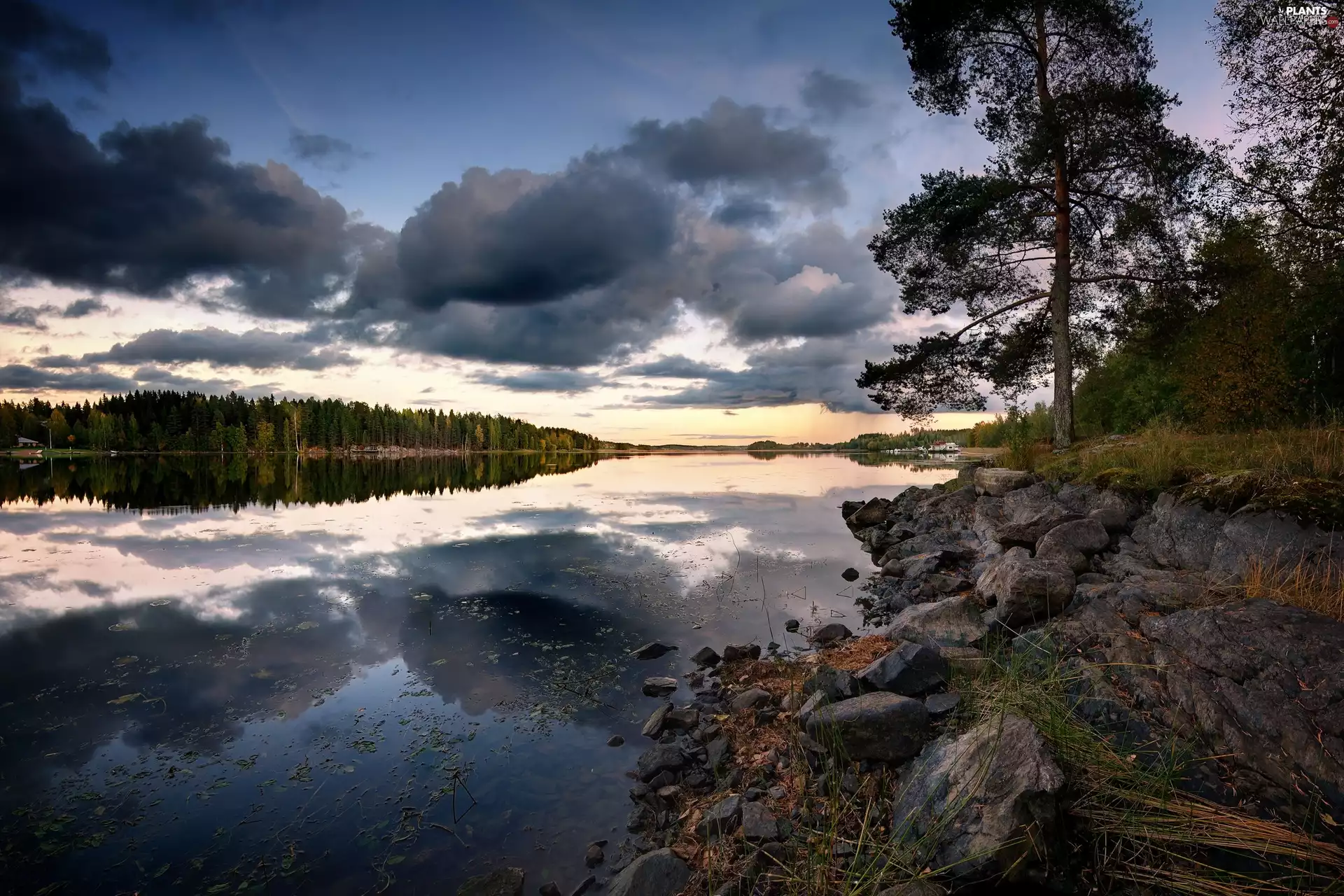 dark, stony, trees, coast, River, clouds, viewes