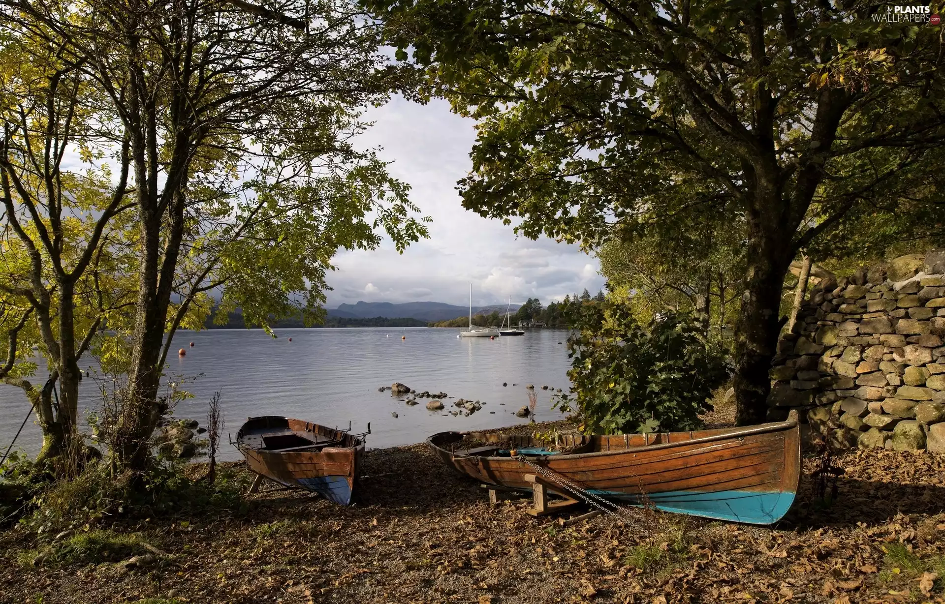 boats, lake, viewes, coast, trees, vessels