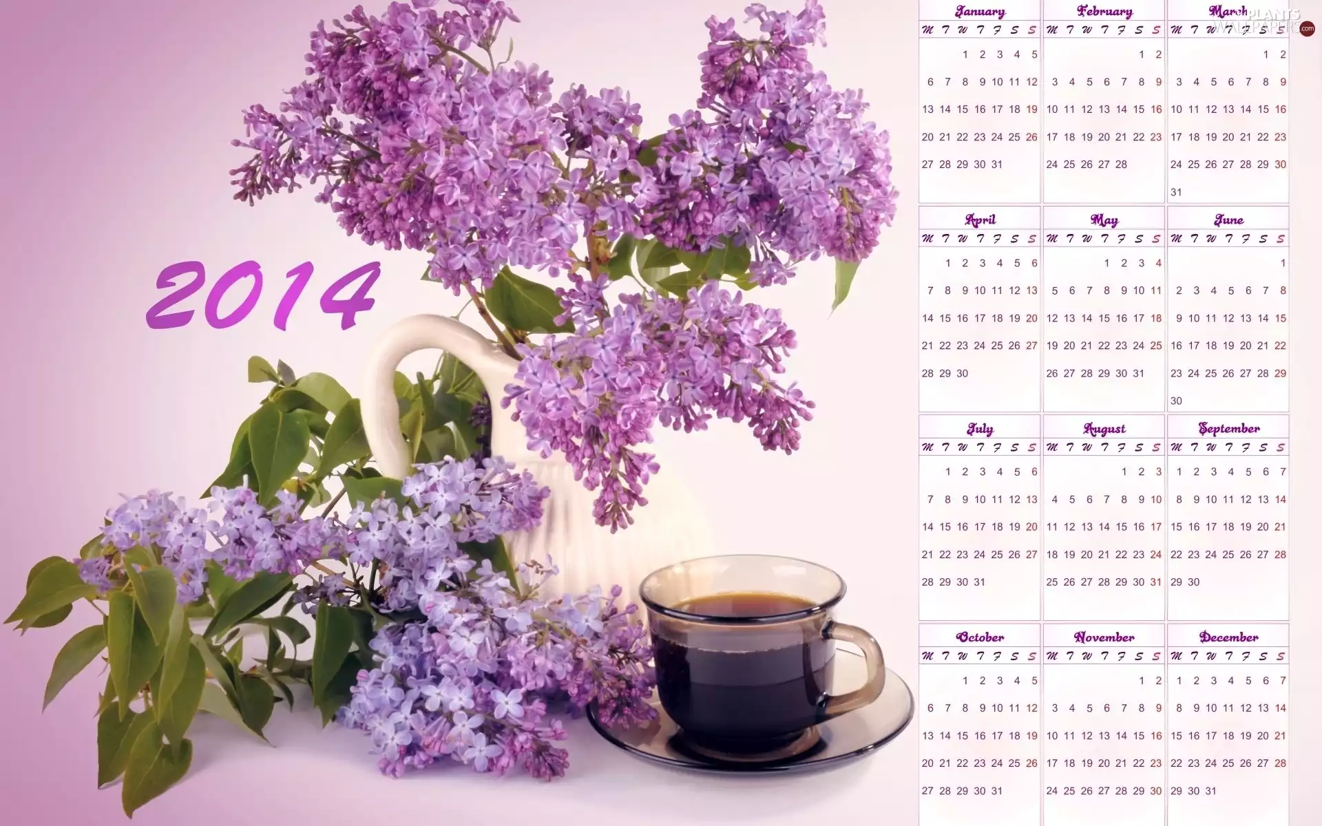 Lilacs, coffee, Calendar 2014, cup