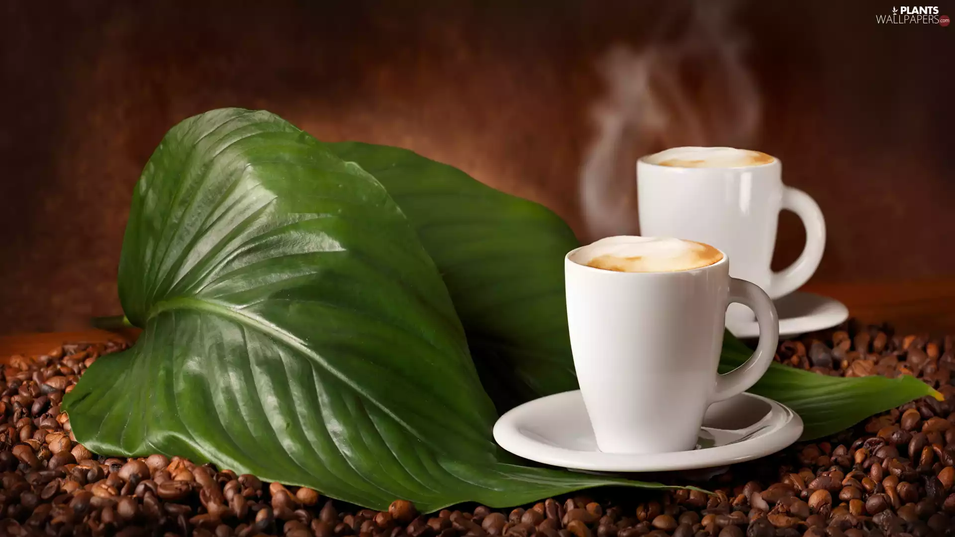 green ones, Leaf, coffee, grains, cups