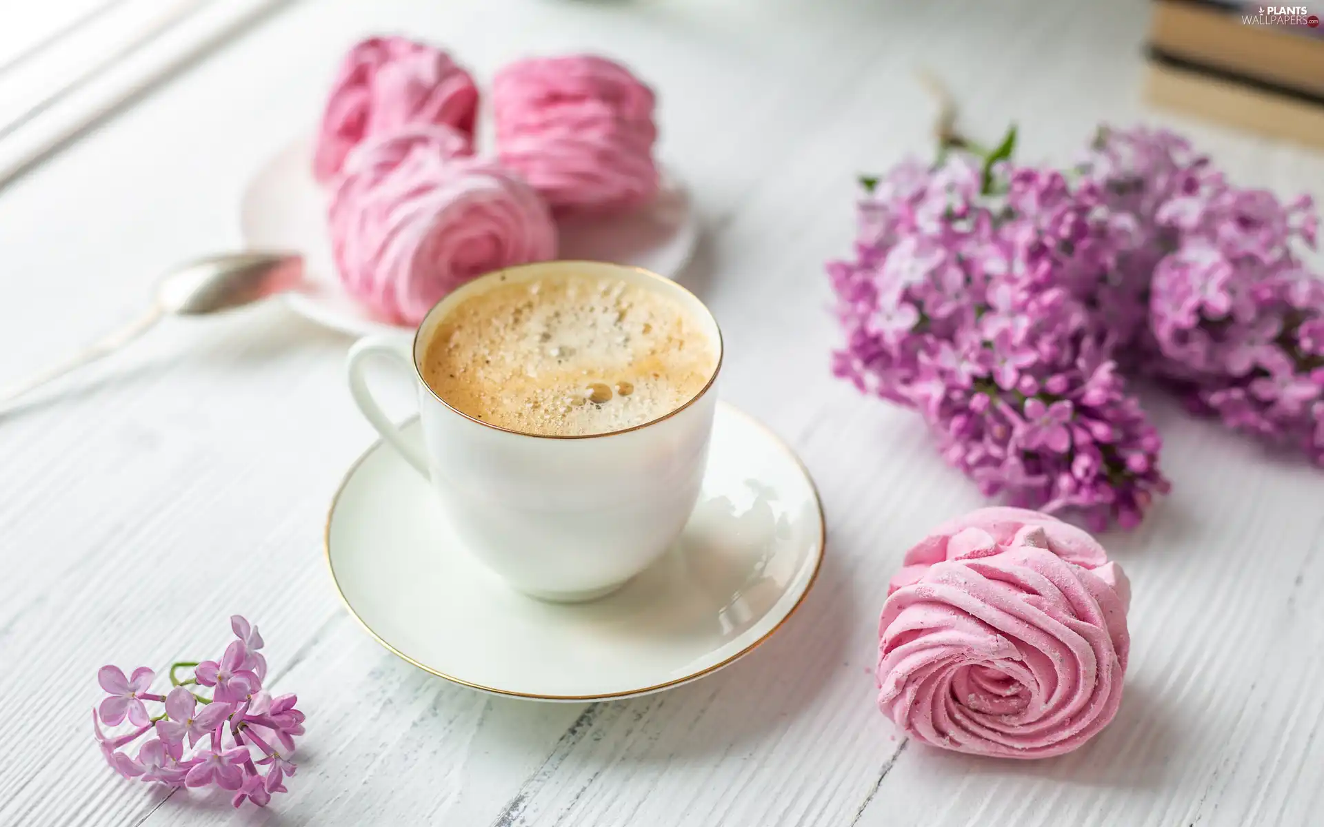 coffee, cup, plate, Spoons, boarding, composition, Flowers, without, Foams