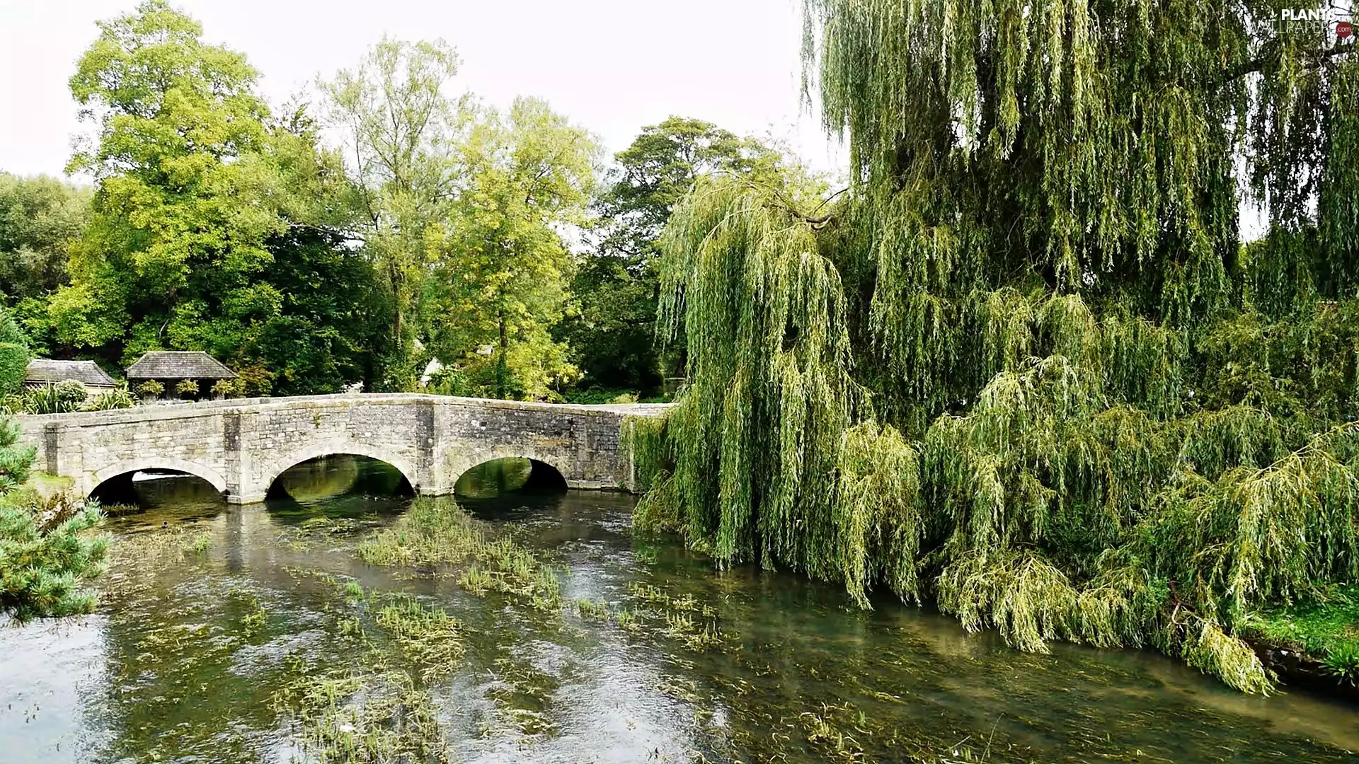 Coln, River, stone, bridge, trees, viewes, country, Bibury, buildings