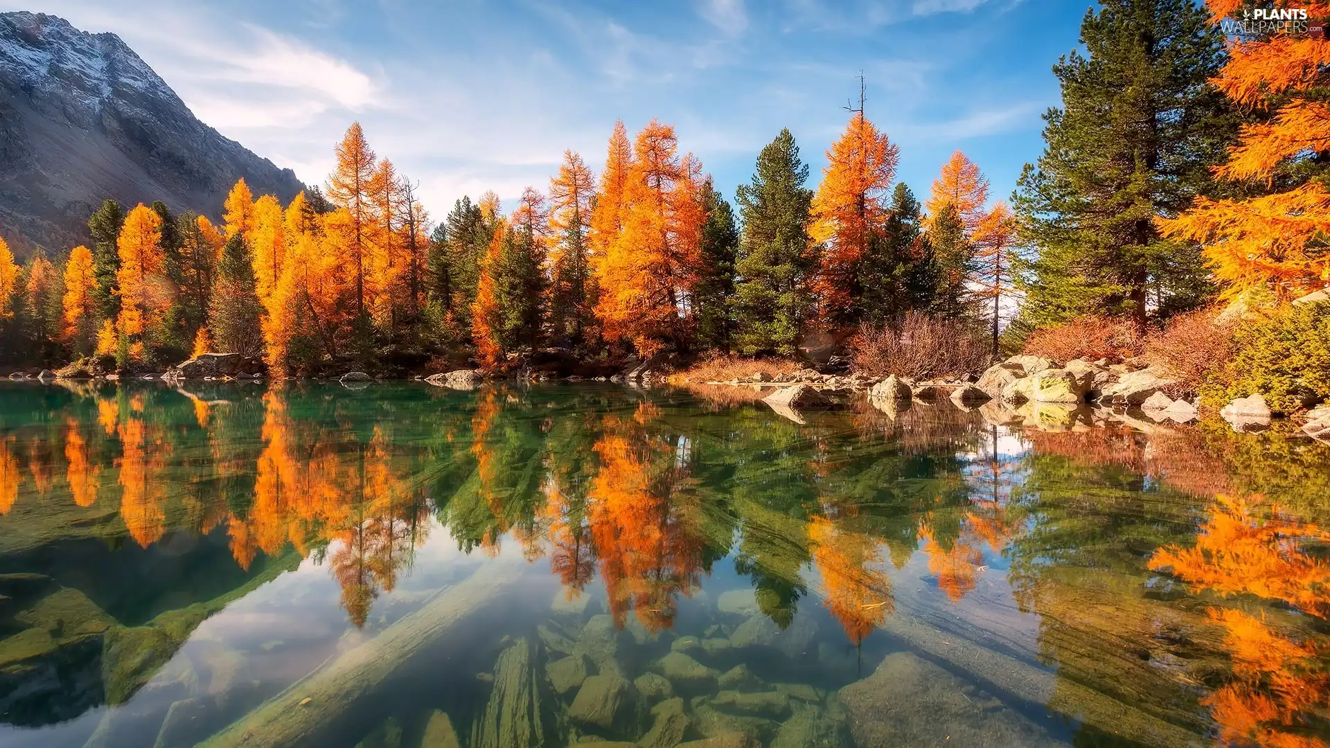 trees, lake, autumn, color, Mountains, viewes, reflection