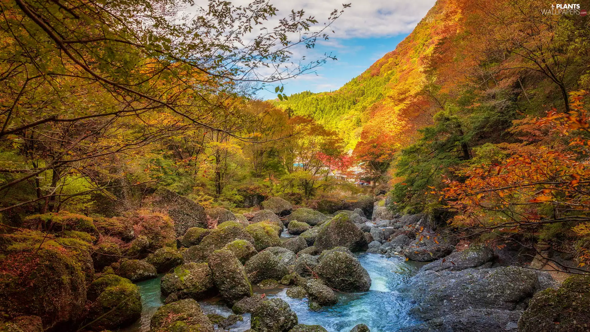 Stones, trees, autumn, viewes, Leaf, River, Mountains, color