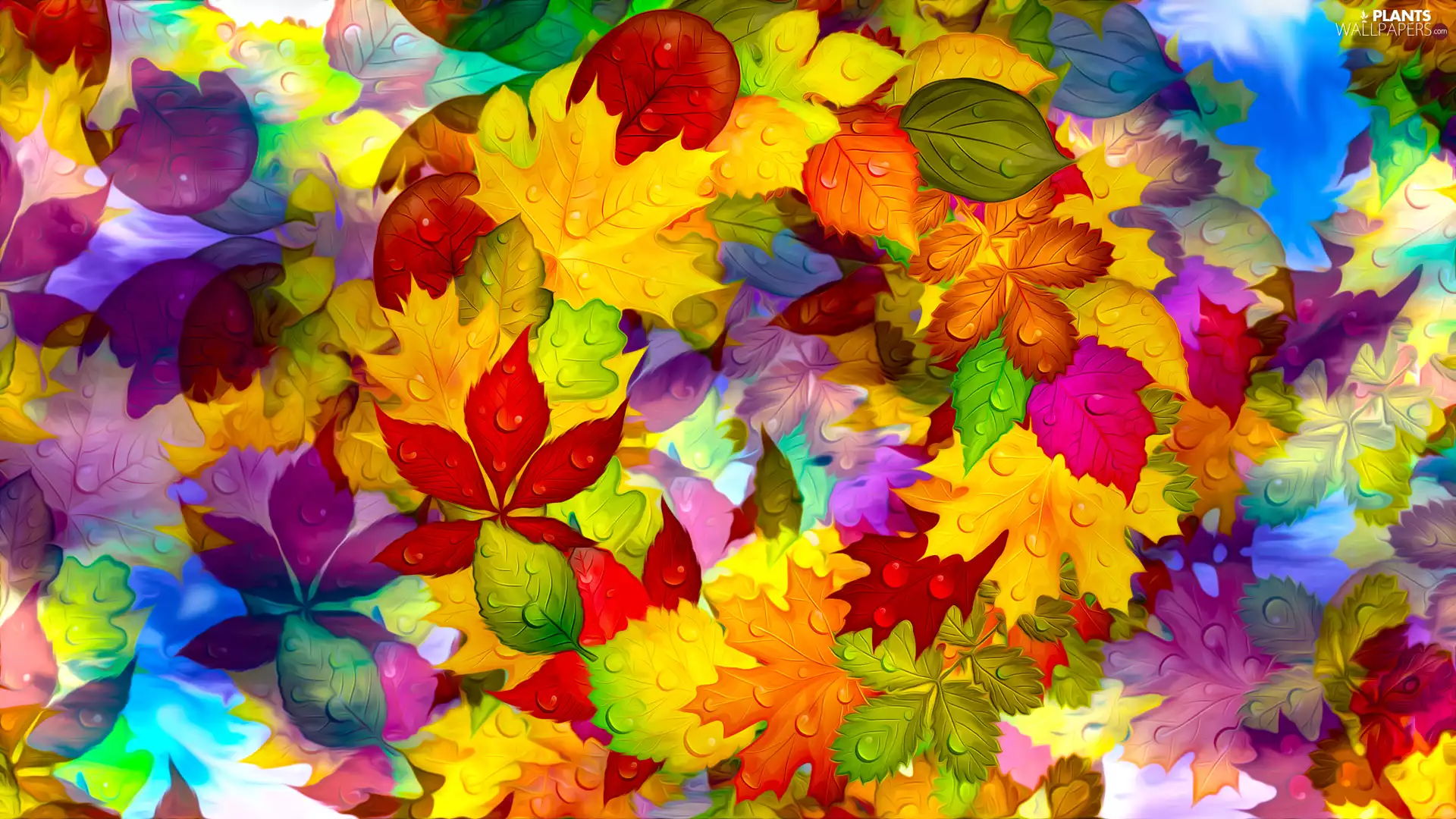 Leaf, drops, graphics, color