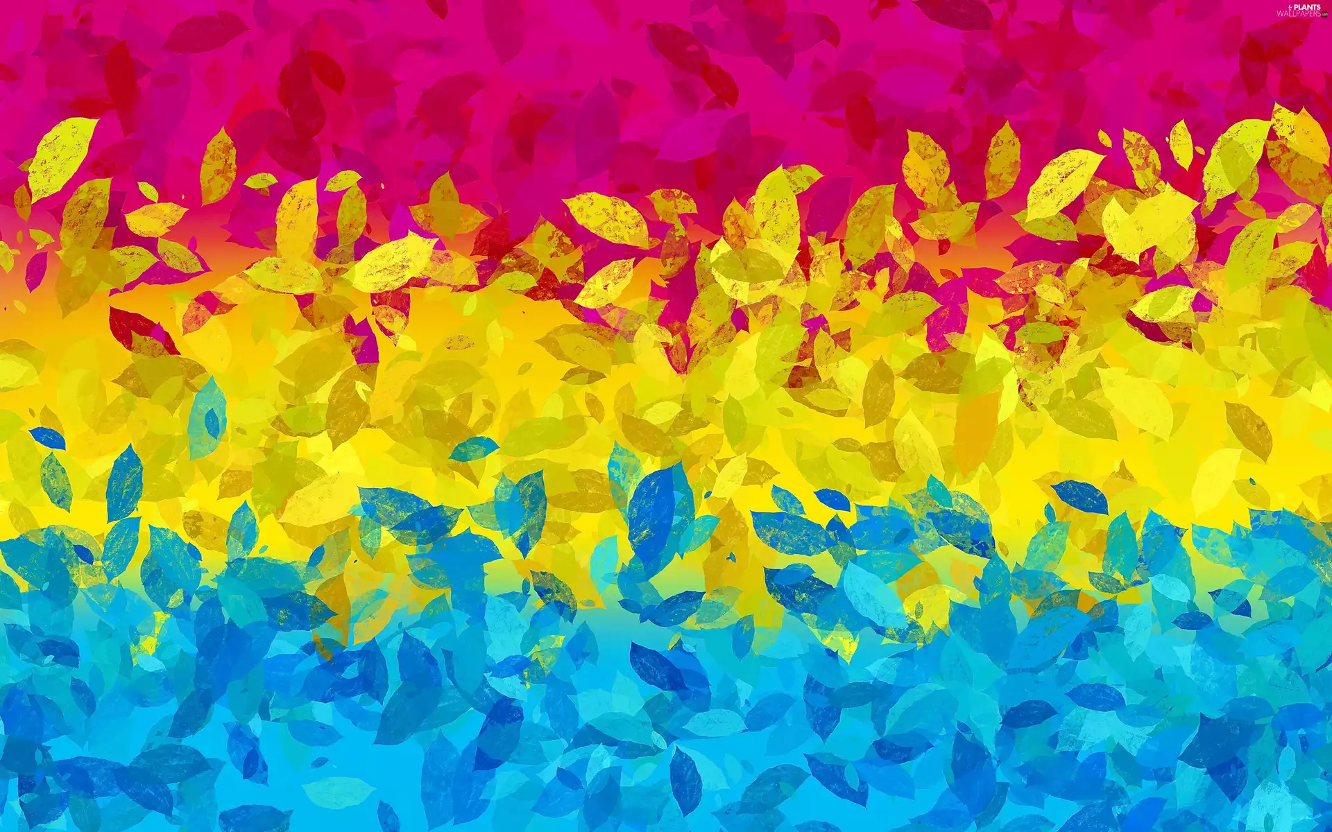 color, graphics, Leaf