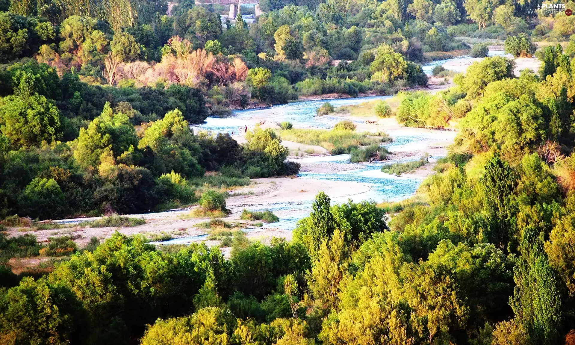 River, trees, viewes, color