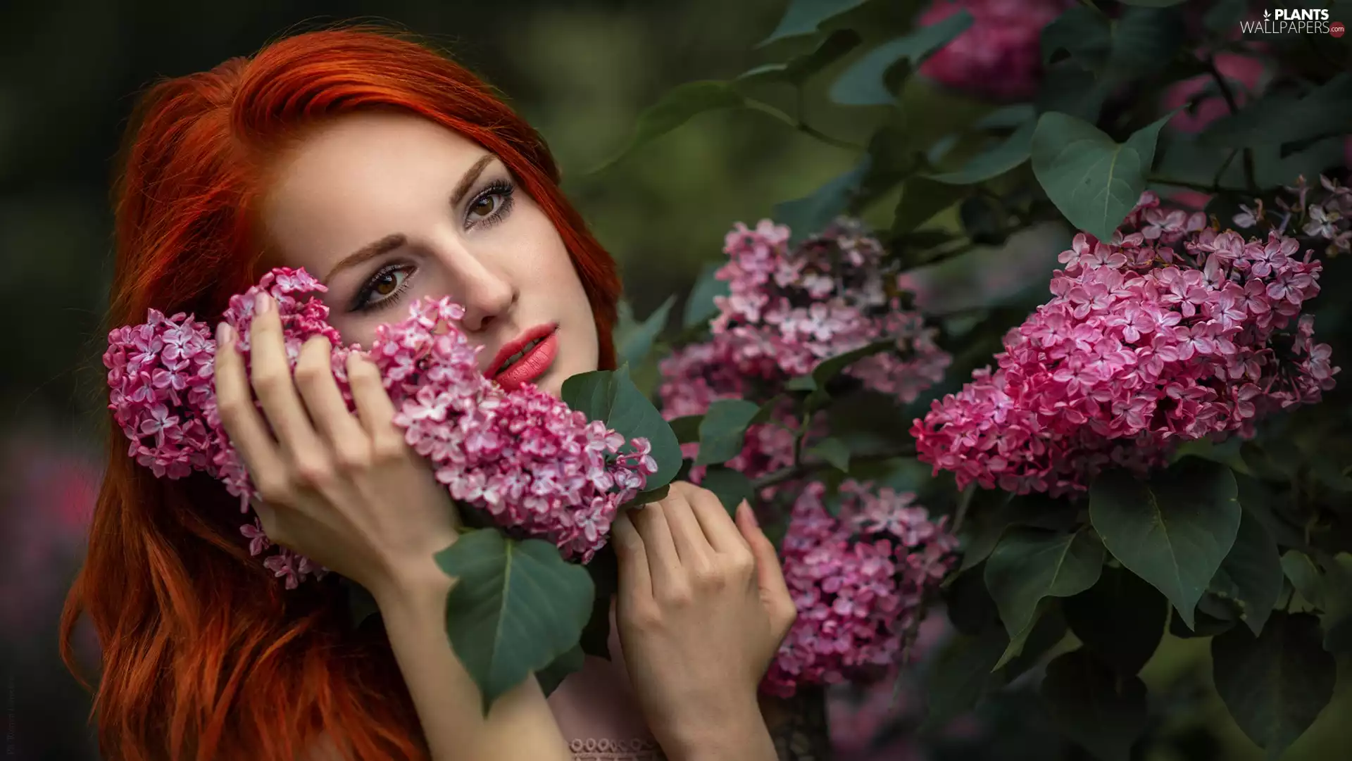 redhead, Colourfull Flowers, without, girl