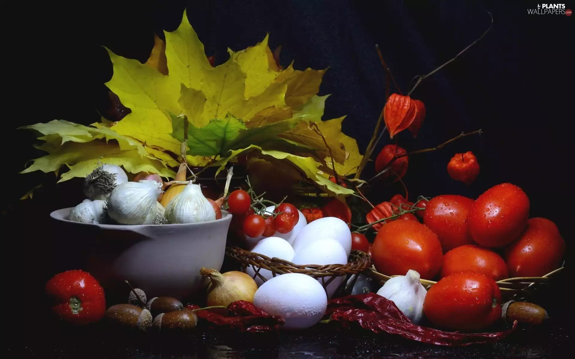 vegetables, composition, Acorns, eggs, Leaf