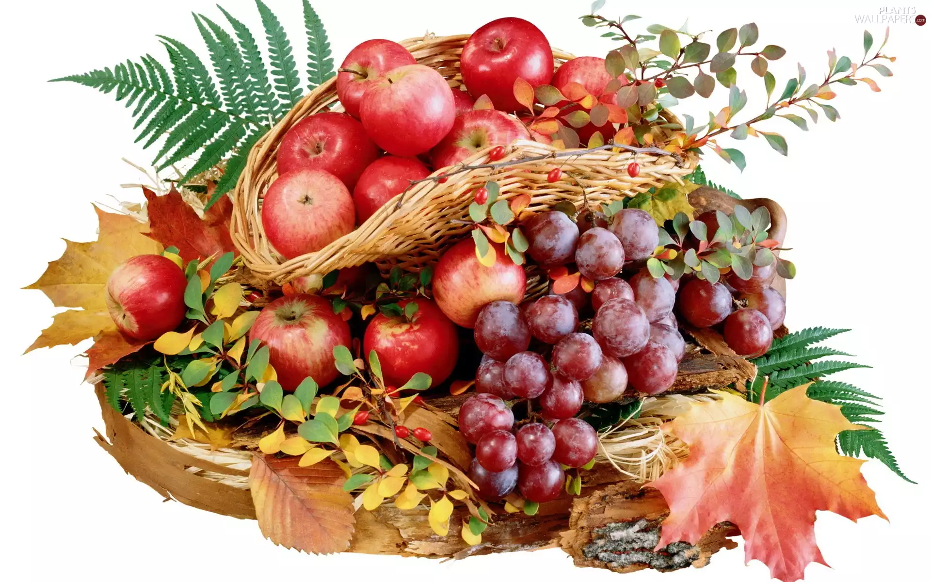 Leaf, composition, autumn, basket, Fruits