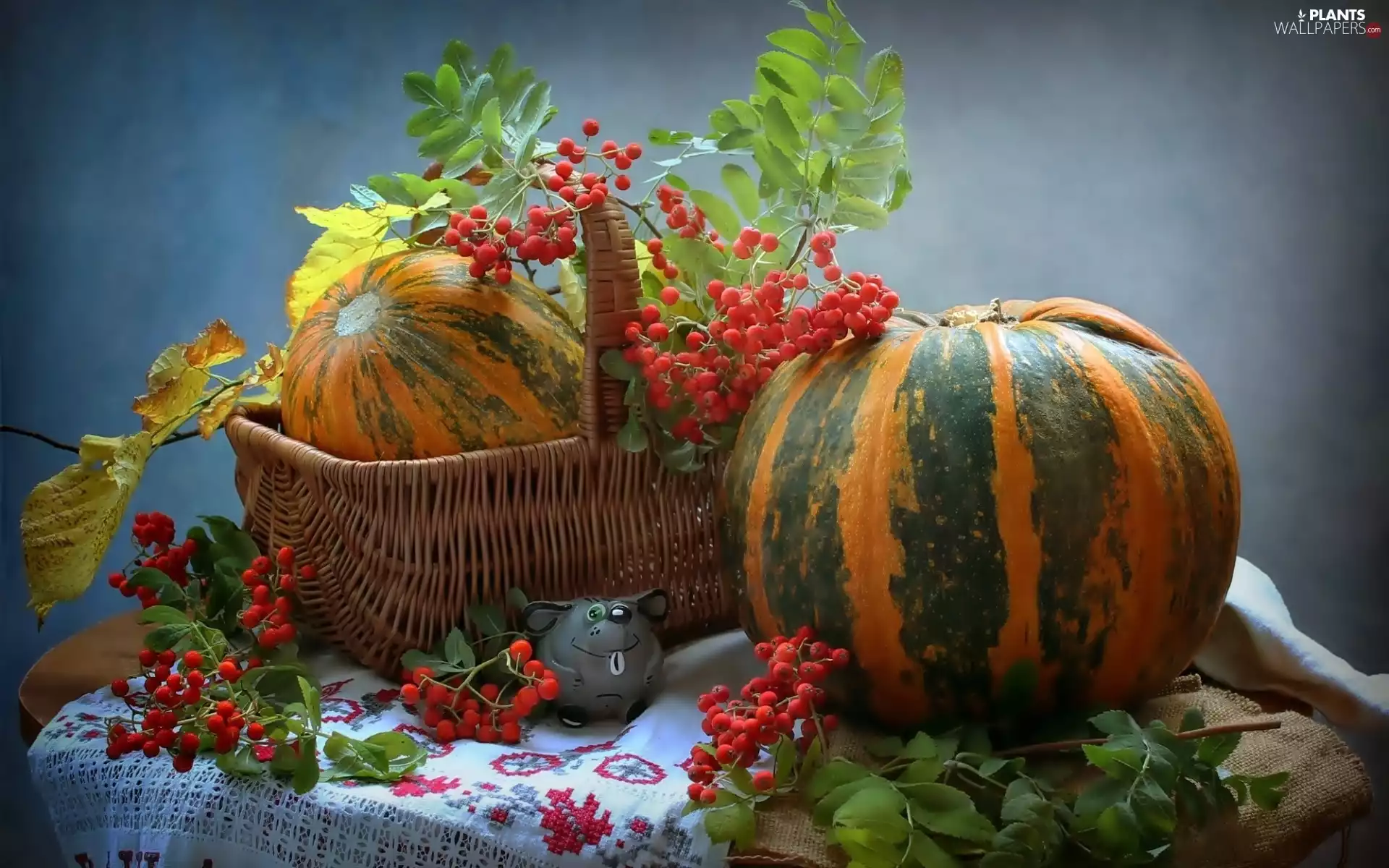 autumn, composition, basket, Plant, pumpkin