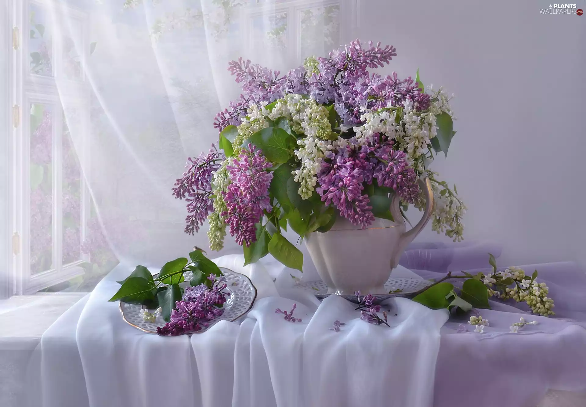 plate, composition, bouquet, Vase, without