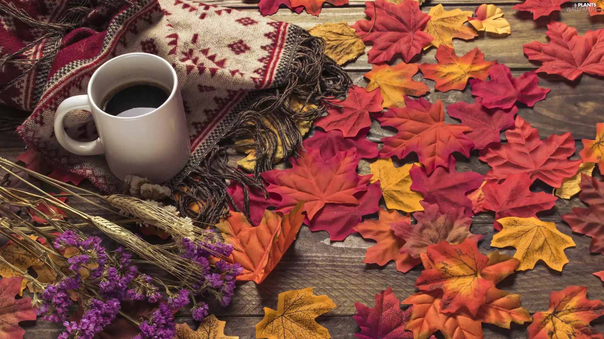 shawl, composition, coffee, Flowers, Leaf
