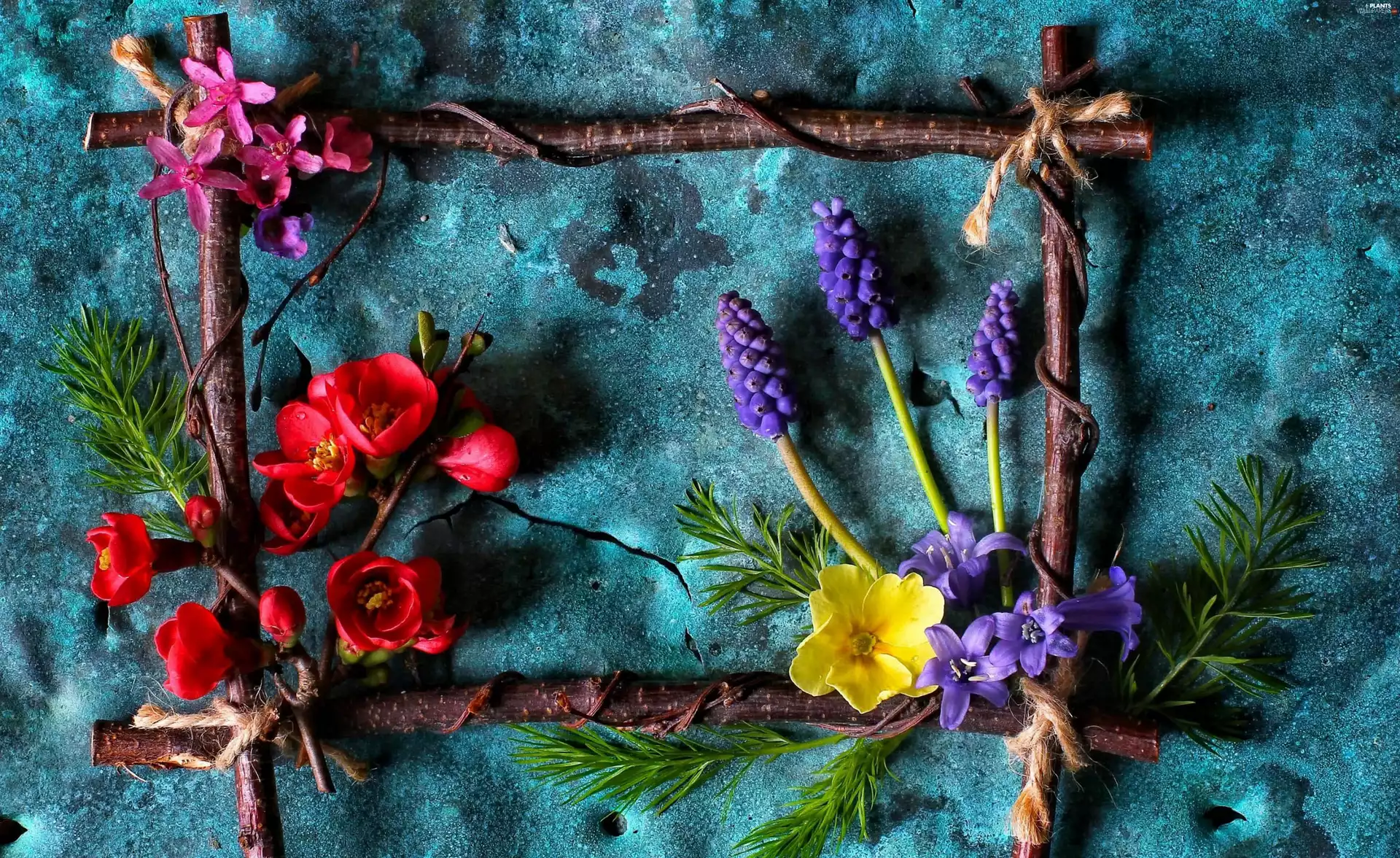 quince, composition, Flowers, hyacinth, Spring