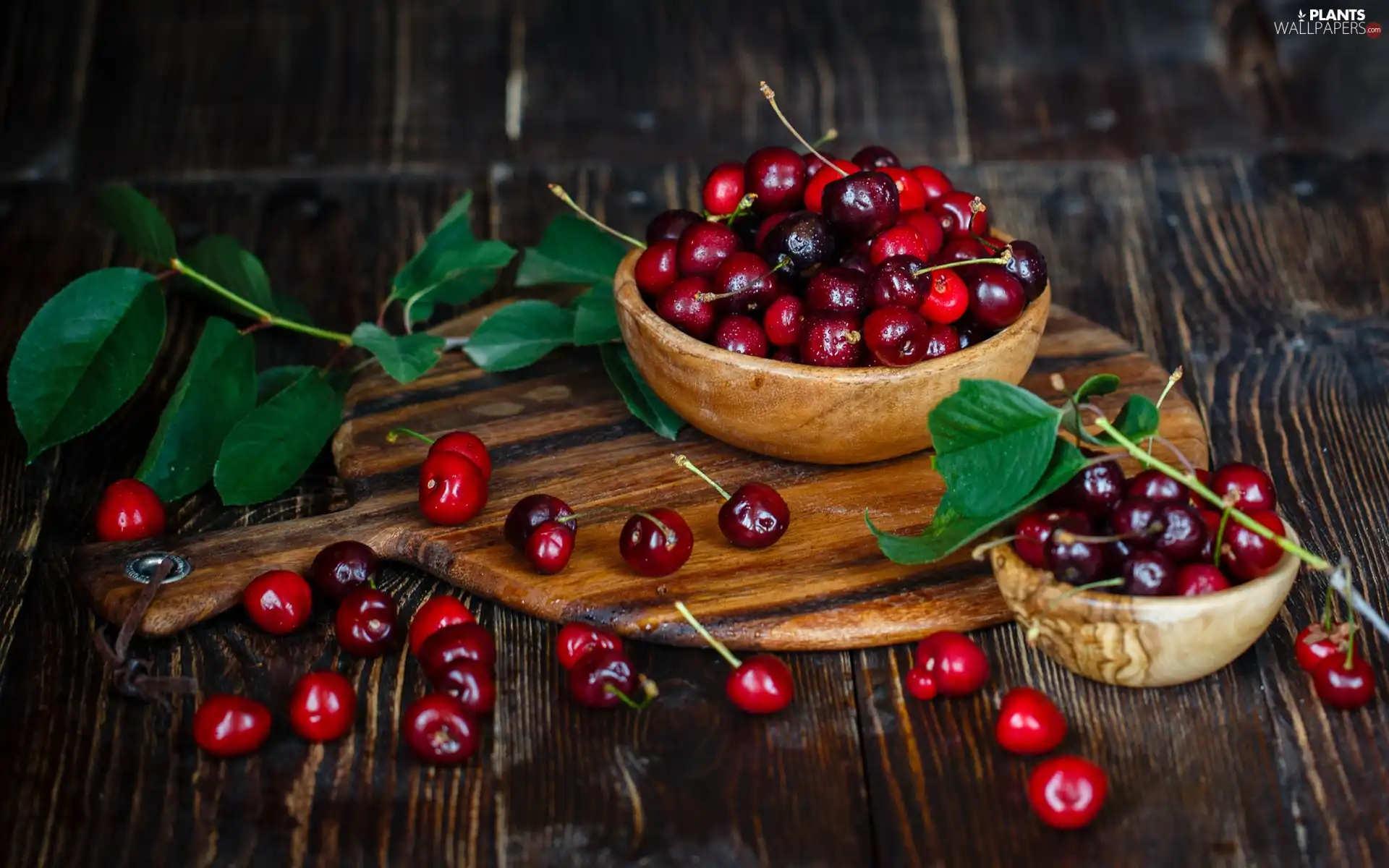 Fruits, Bowls, composition, Leaf