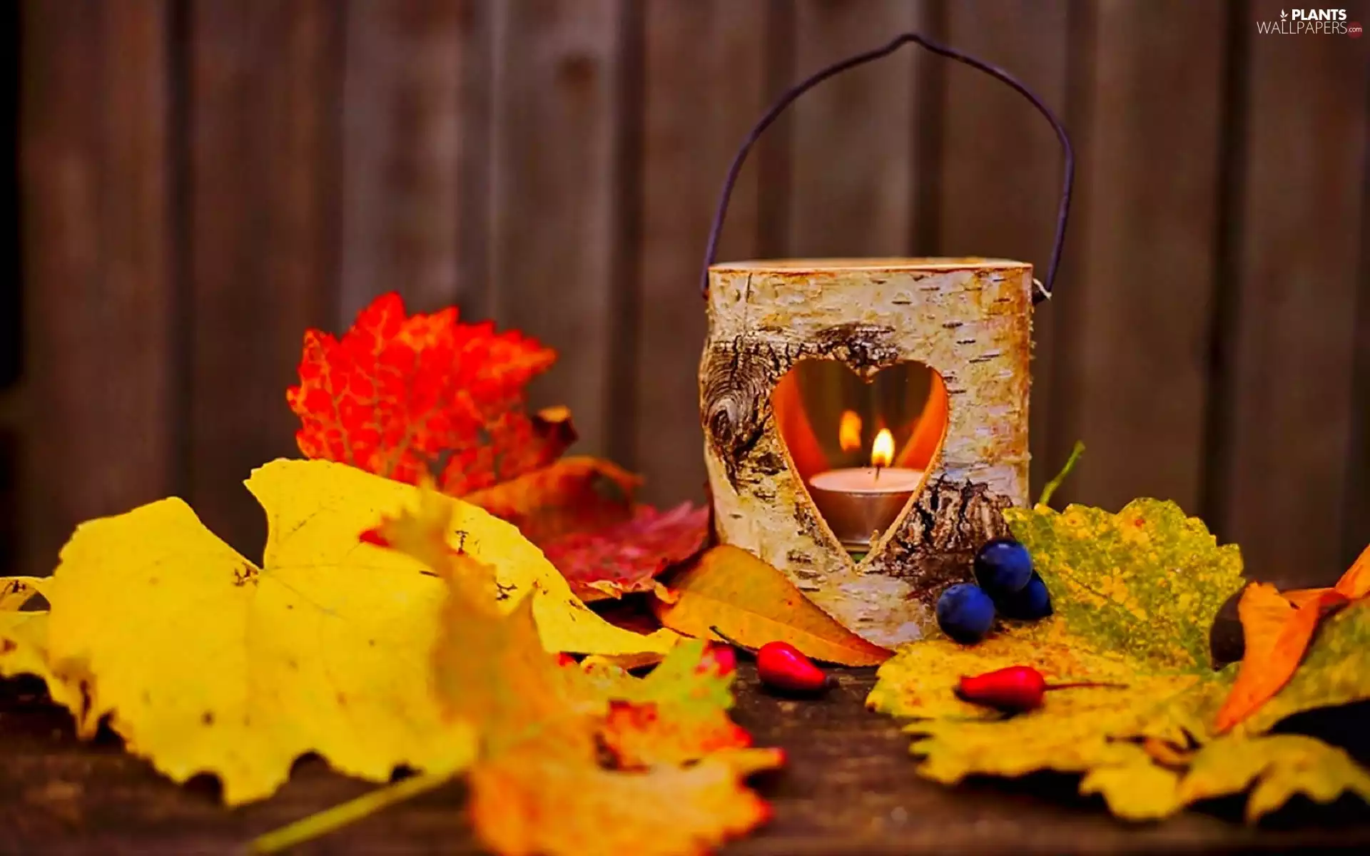 autumn, composition, lantern, Candle, Leaf