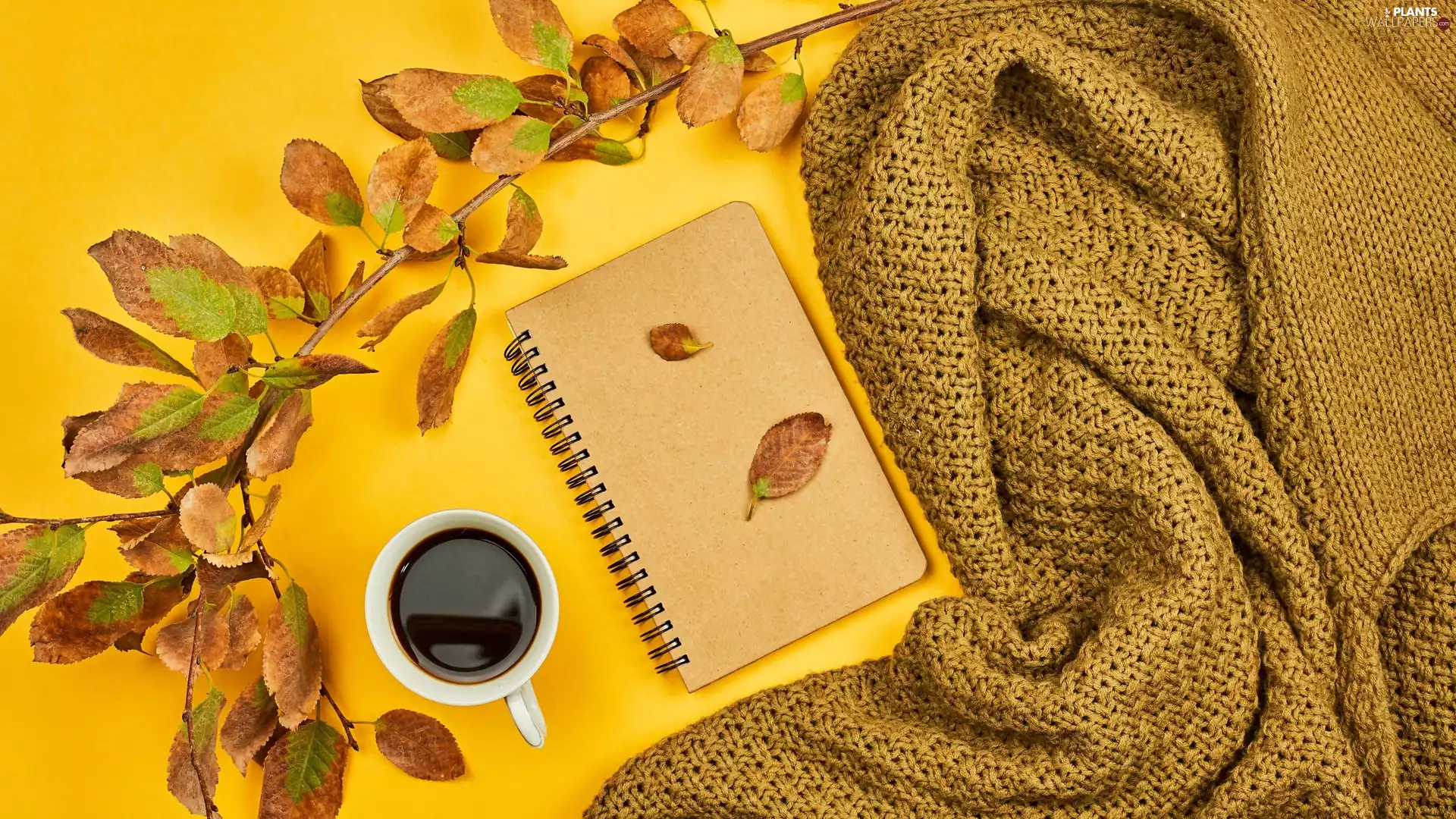 Scarf, coffee, Leaf, composition, twig, note-book