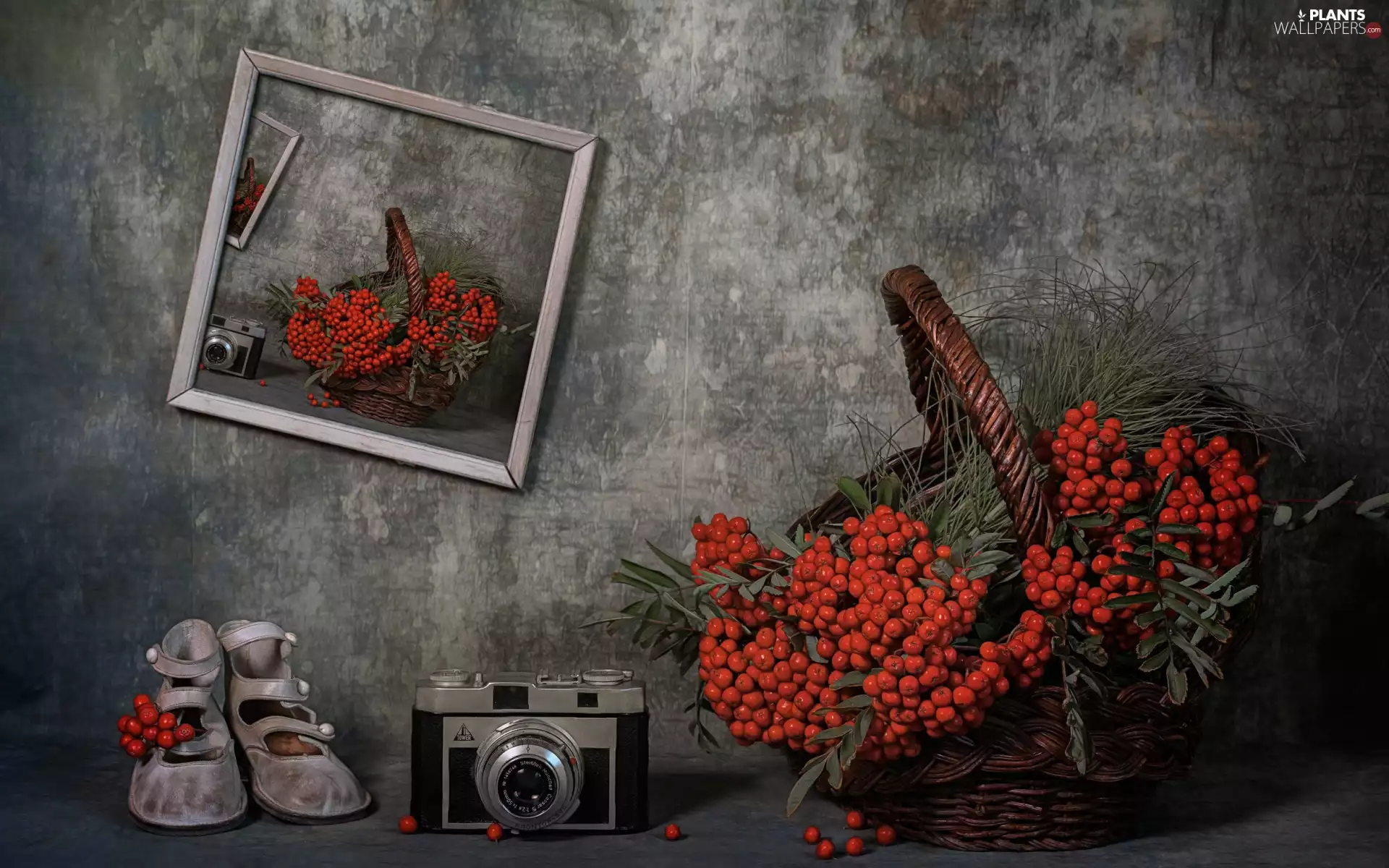 Boots, basket, picture, composition, Camera, Plant