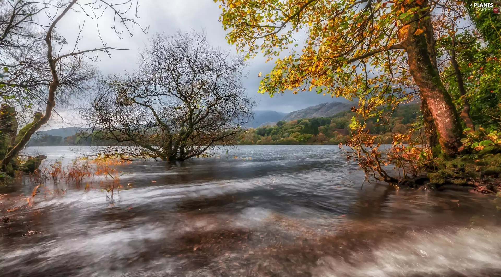 Coniston Village, River, autumn, trees, The Hills, Cumbria, England, viewes