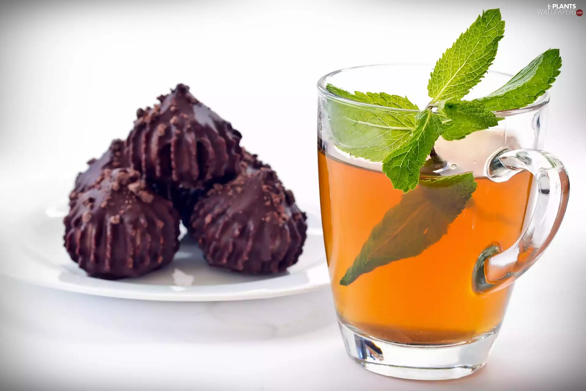 leaves, cup, chocolate, Cookies, mint, tea