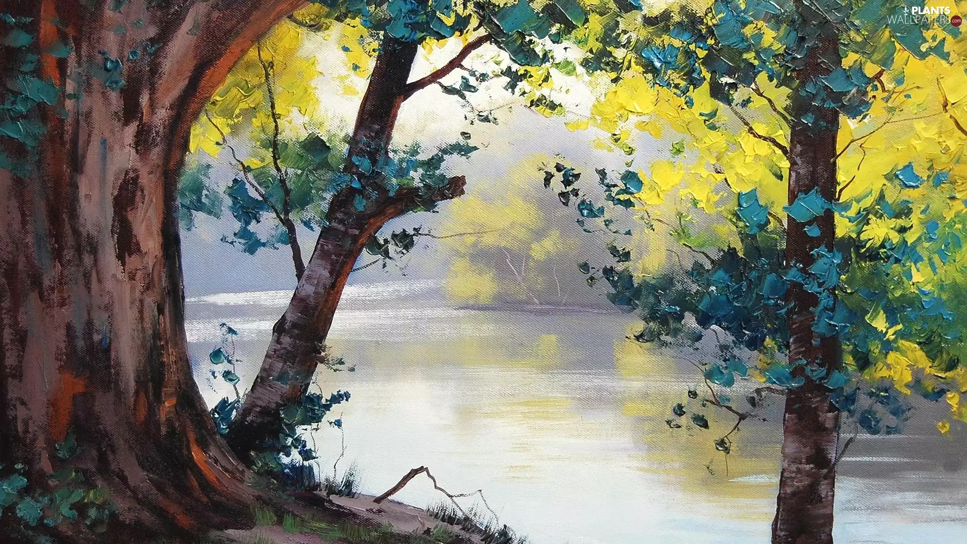 viewes, copy, River, trees, Park