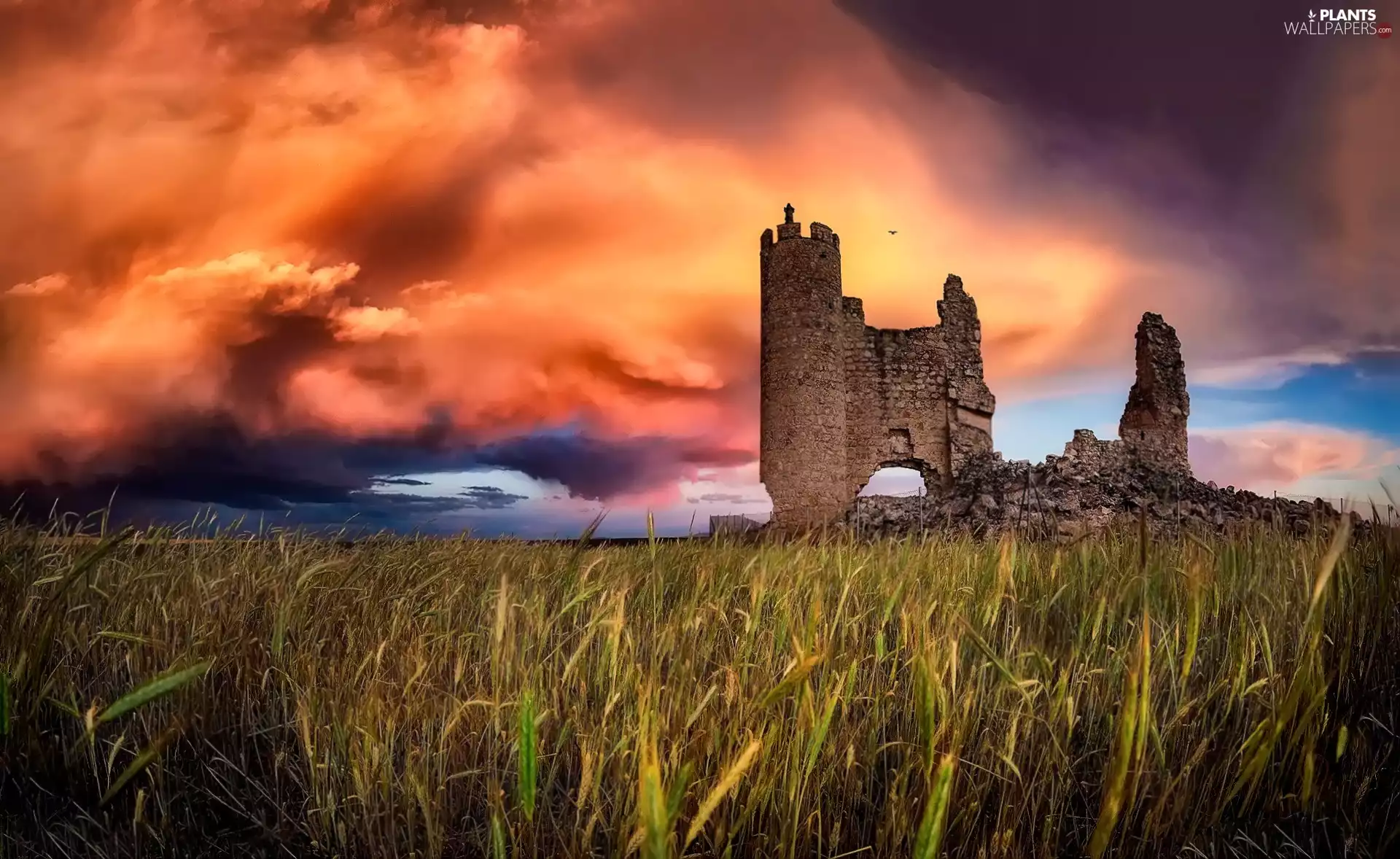 corn, ruins, clouds