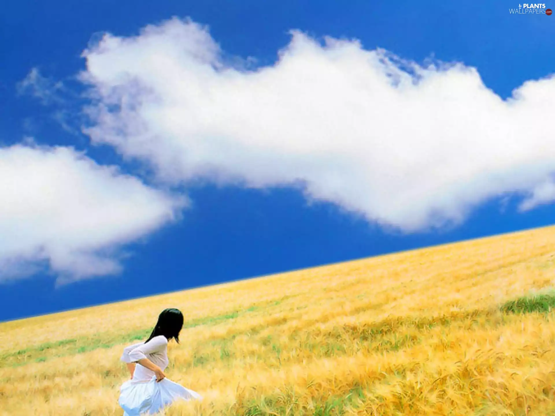 clouds, landscape, Women, corn, Field, Sky