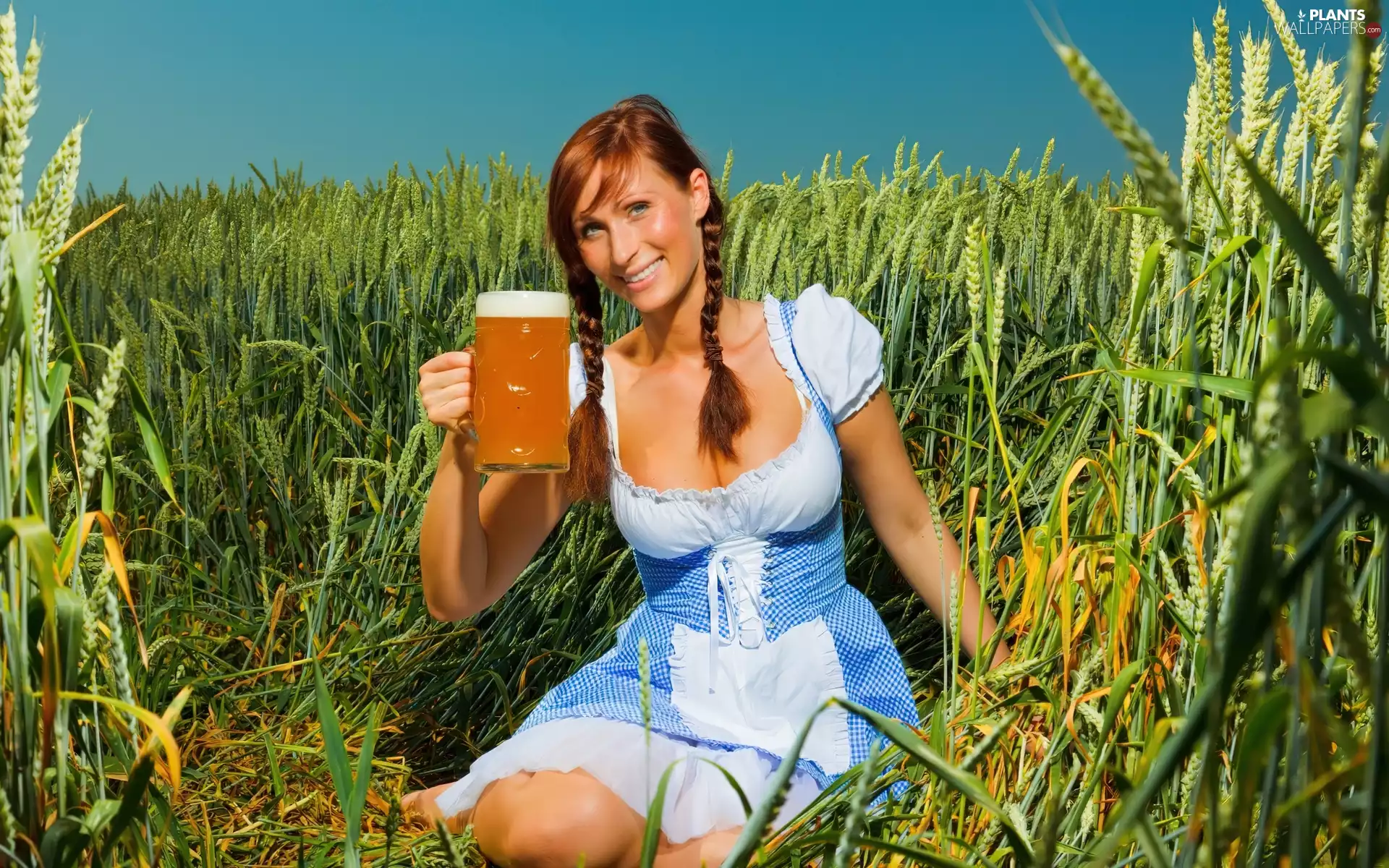 Women, mug, Beer, corn