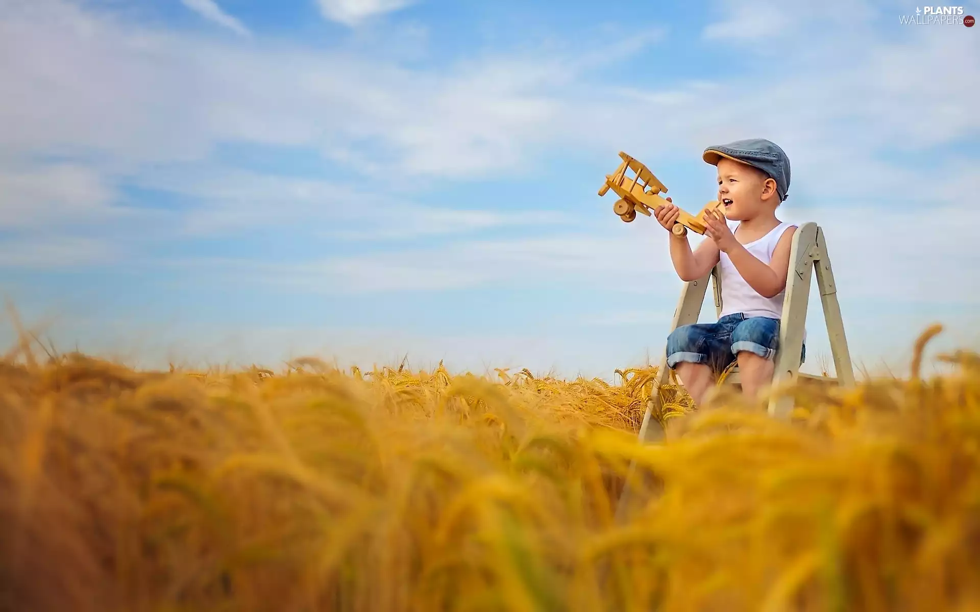 ladder, boy, wooden, corn, Kid, toy, plane