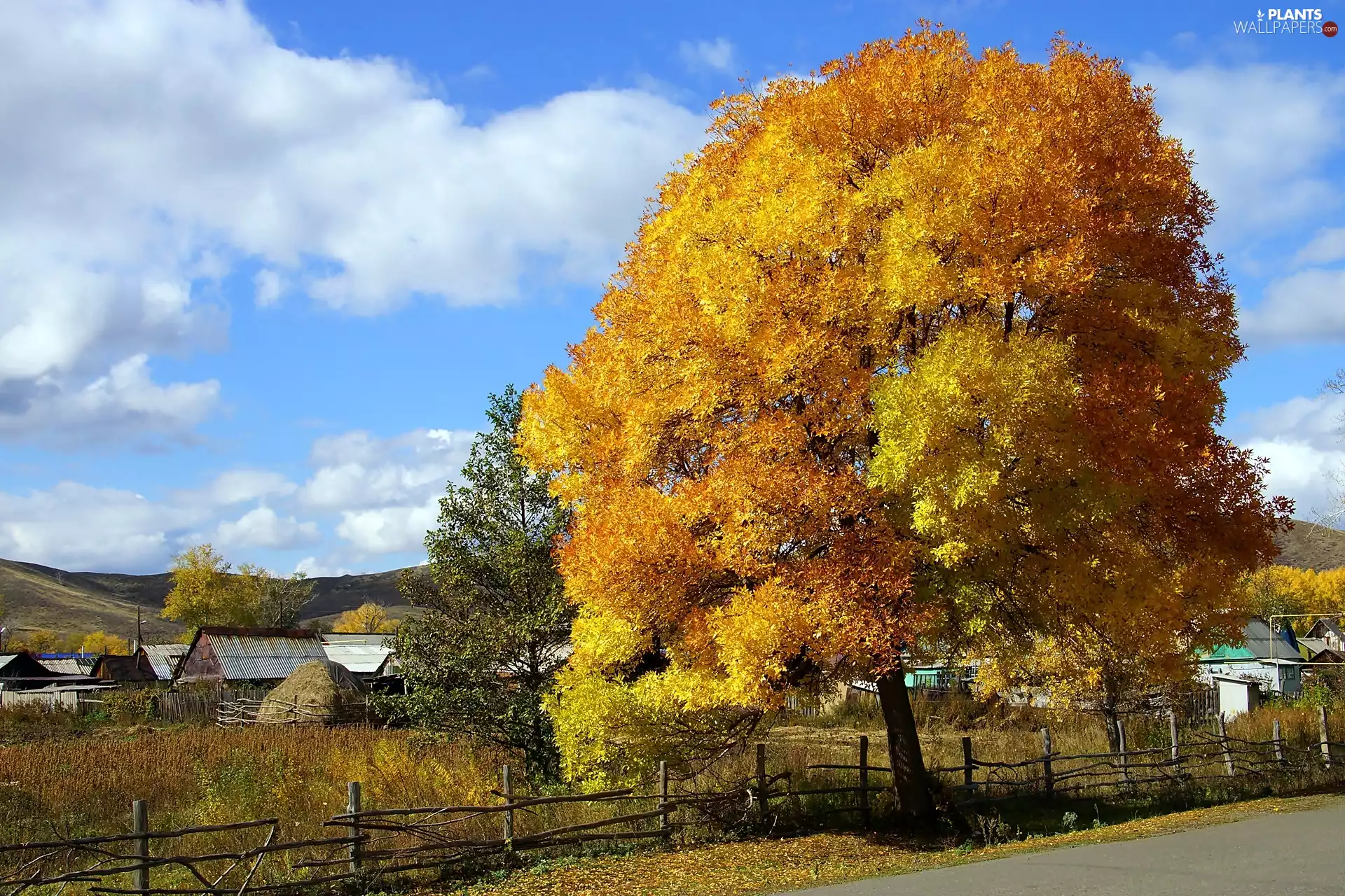 viewes, autumn, clouds, country, field, trees