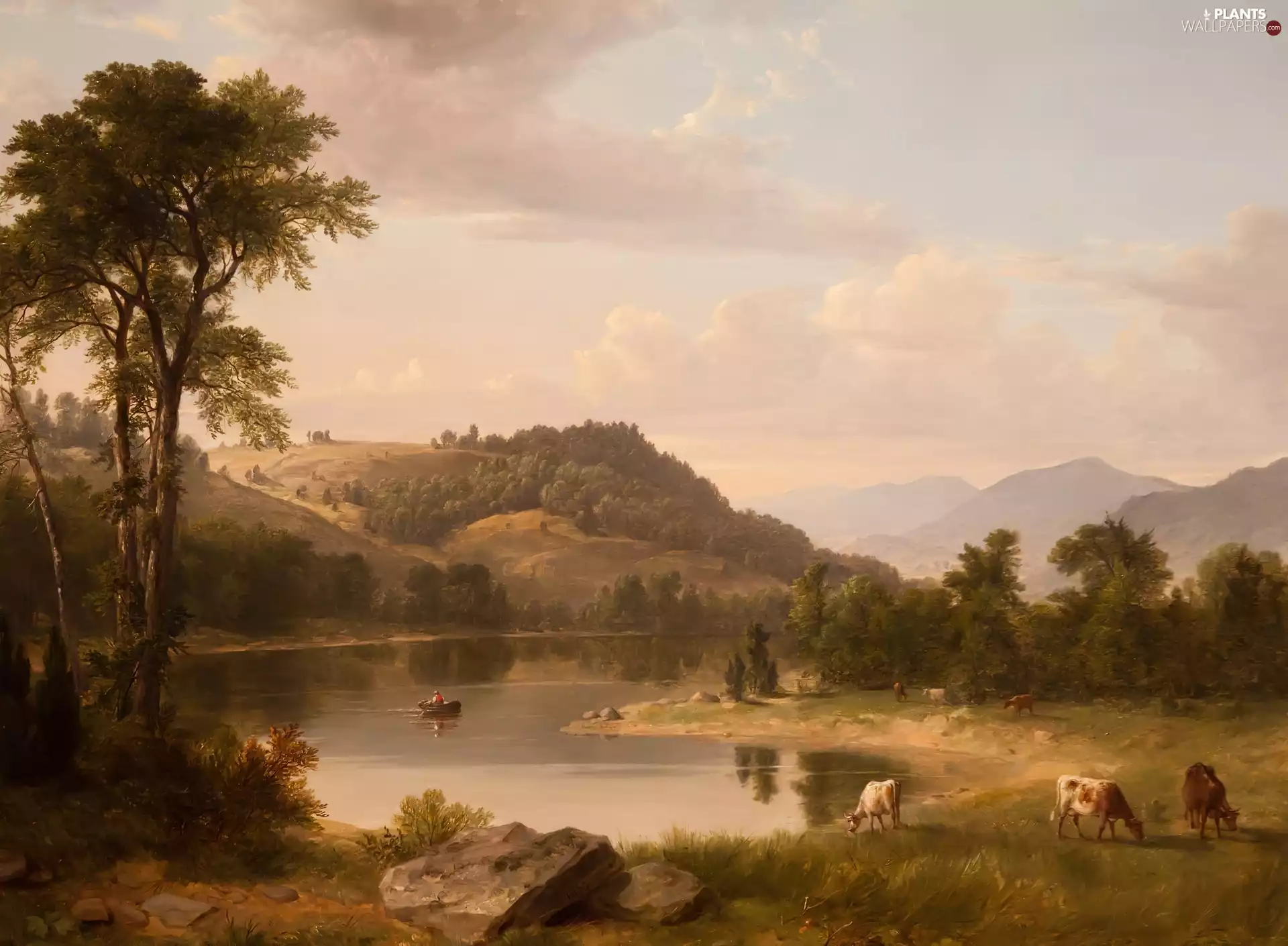clouds, lake, viewes, Cows, trees, Mountains