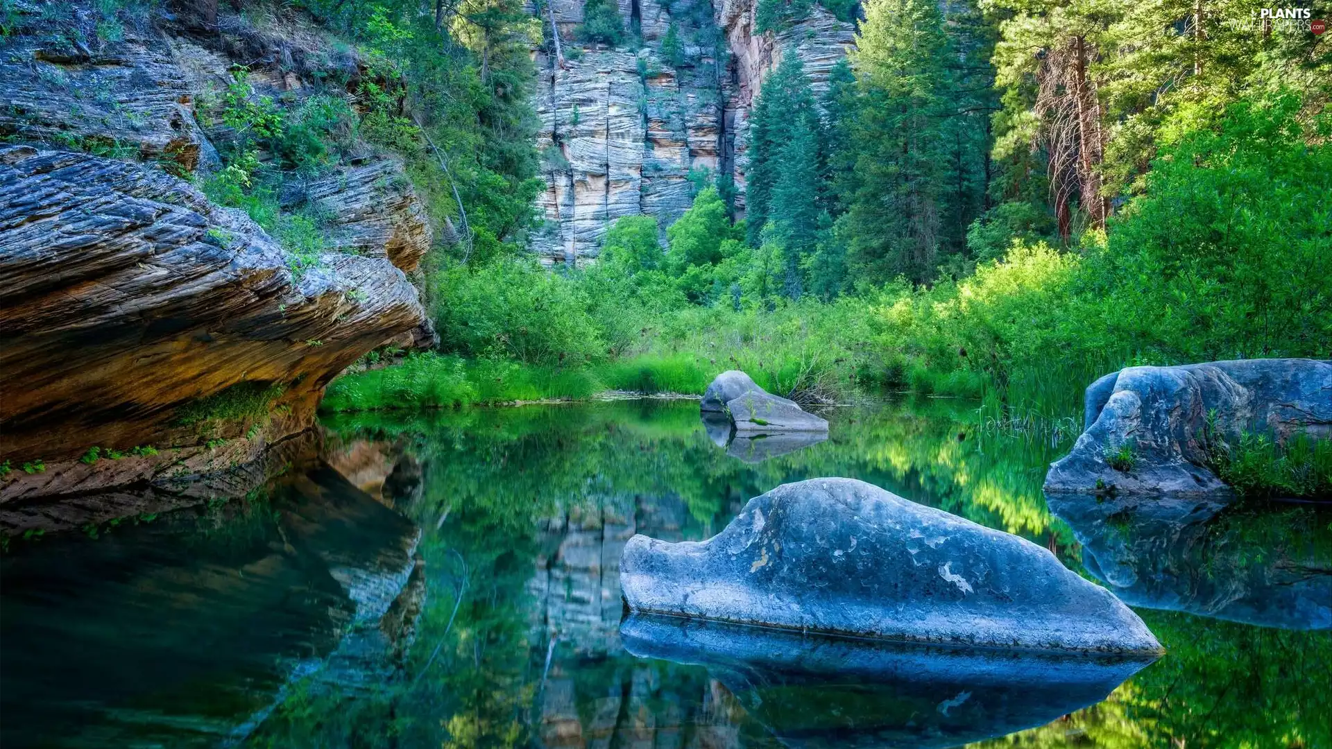 West Clear Creek Wilderness, West Clear Creek Canyon, rocks, Stones, viewes, Arizona, The United States, trees