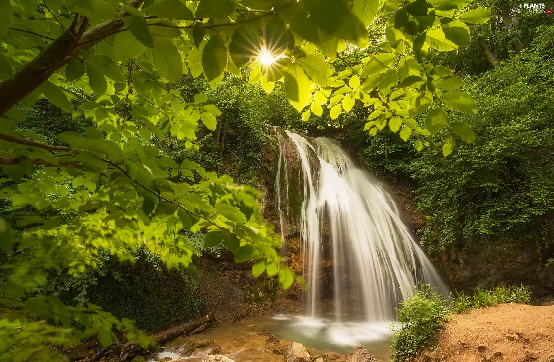 trees, Djur-djur Waterfall, Leaf, sun, viewes, Crimea