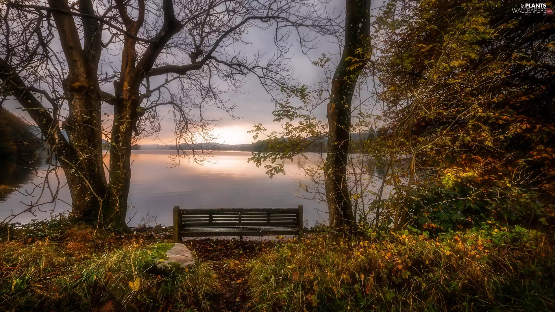 England, Great Britain, Cumbria, Lake District, trees, viewes, autumn, Bench, Lake Coniston Water