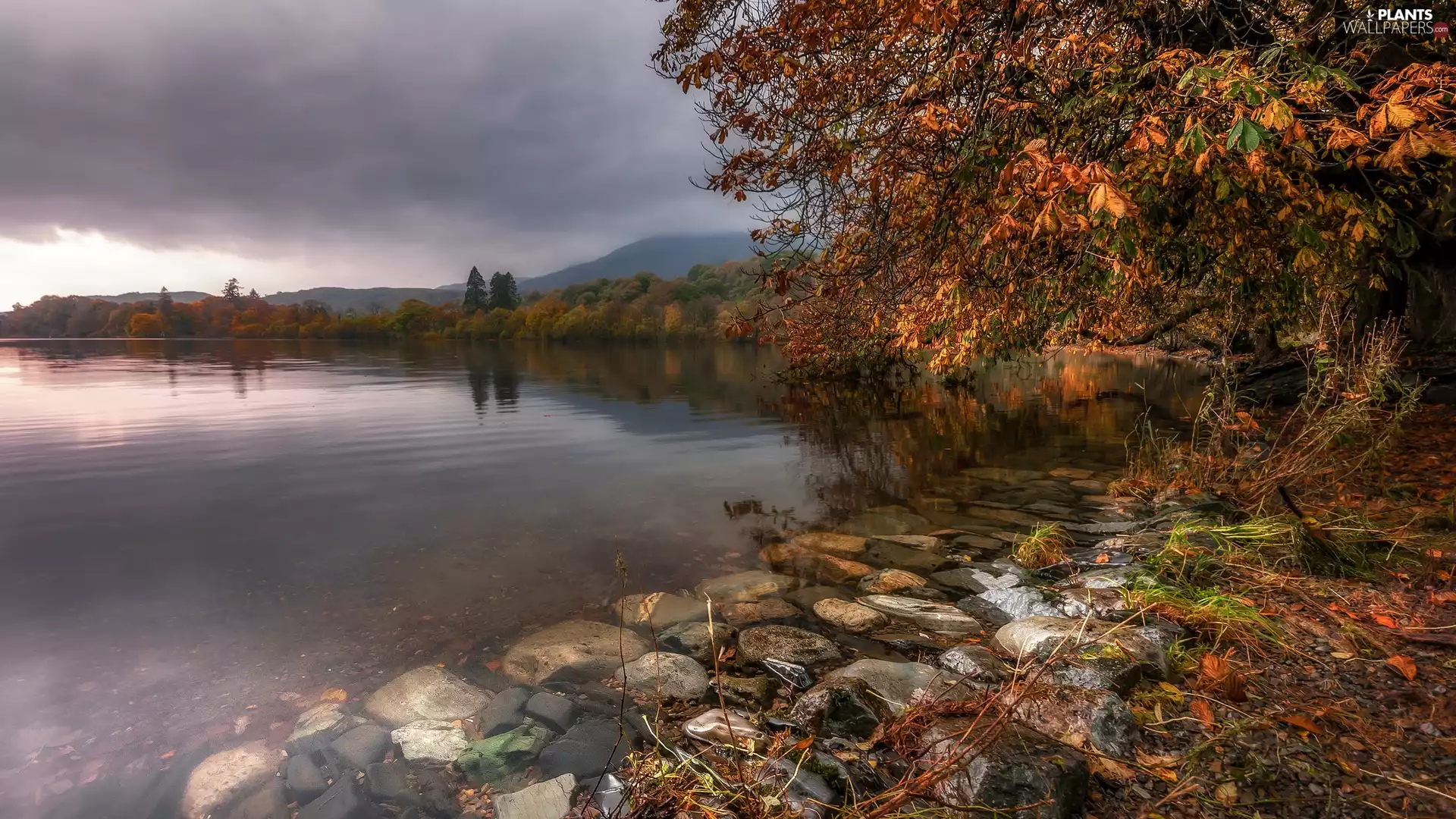 England, Great Britain, Cumbria, Lake District, viewes, Lake Coniston Water, Stones, trees, autumn