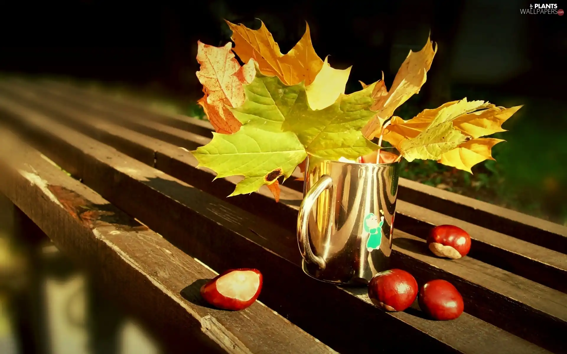Cup, chestnuts, Yellow, Leaf, bouquet