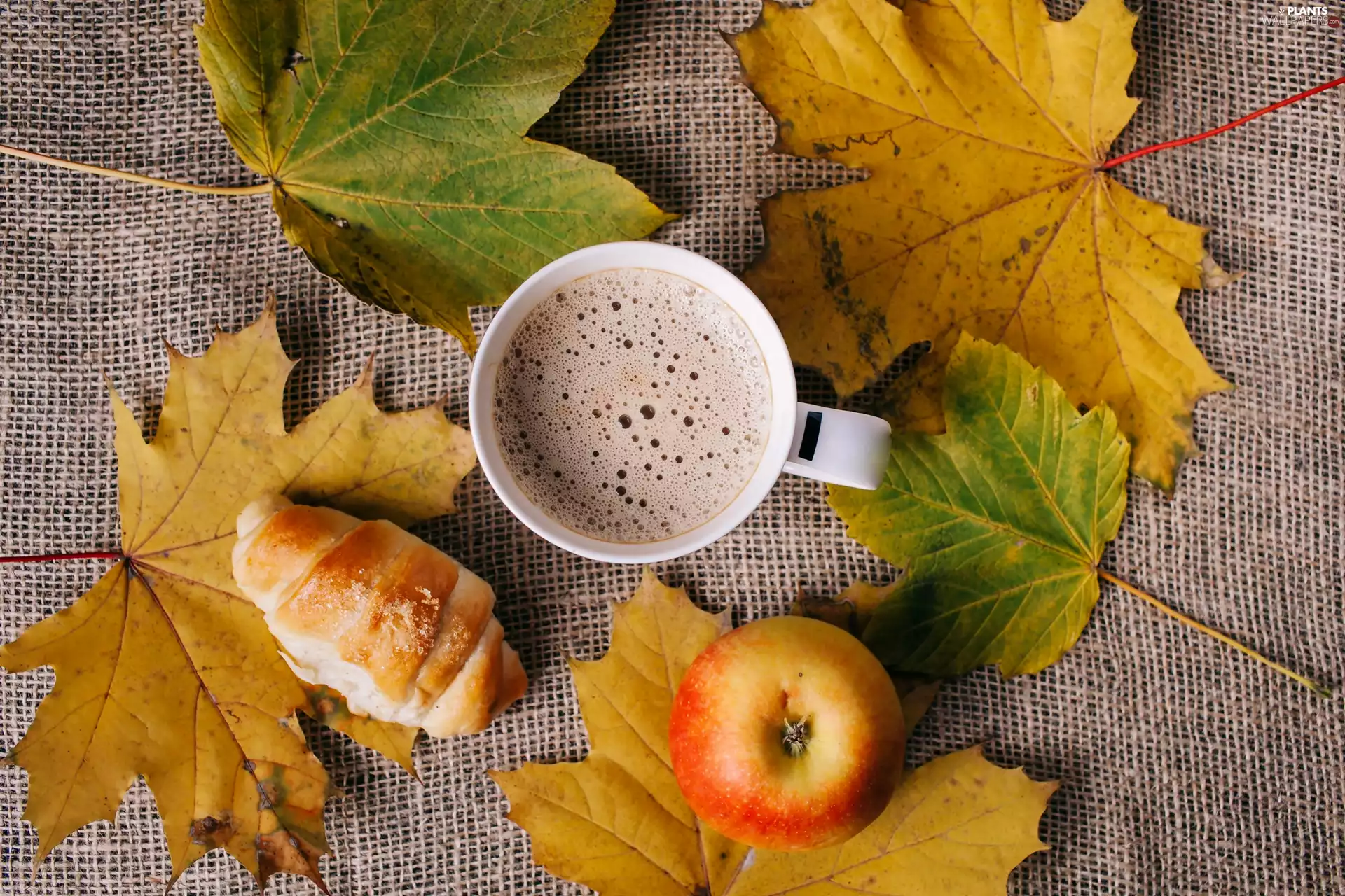 coffee, Apple, Leaf, cup