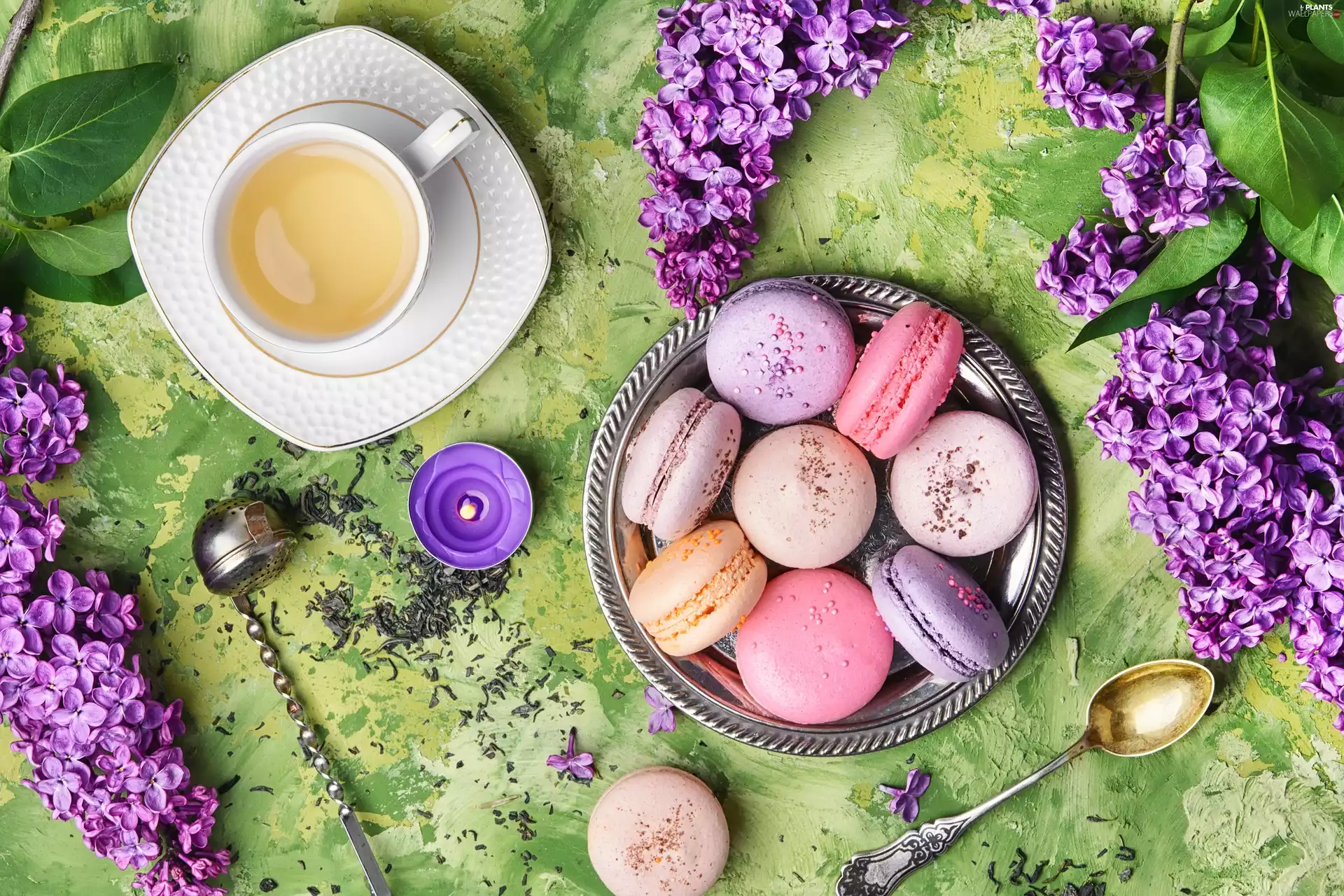 teaspoon, without, Cookies, cup, Flowers, tea, Macaroons