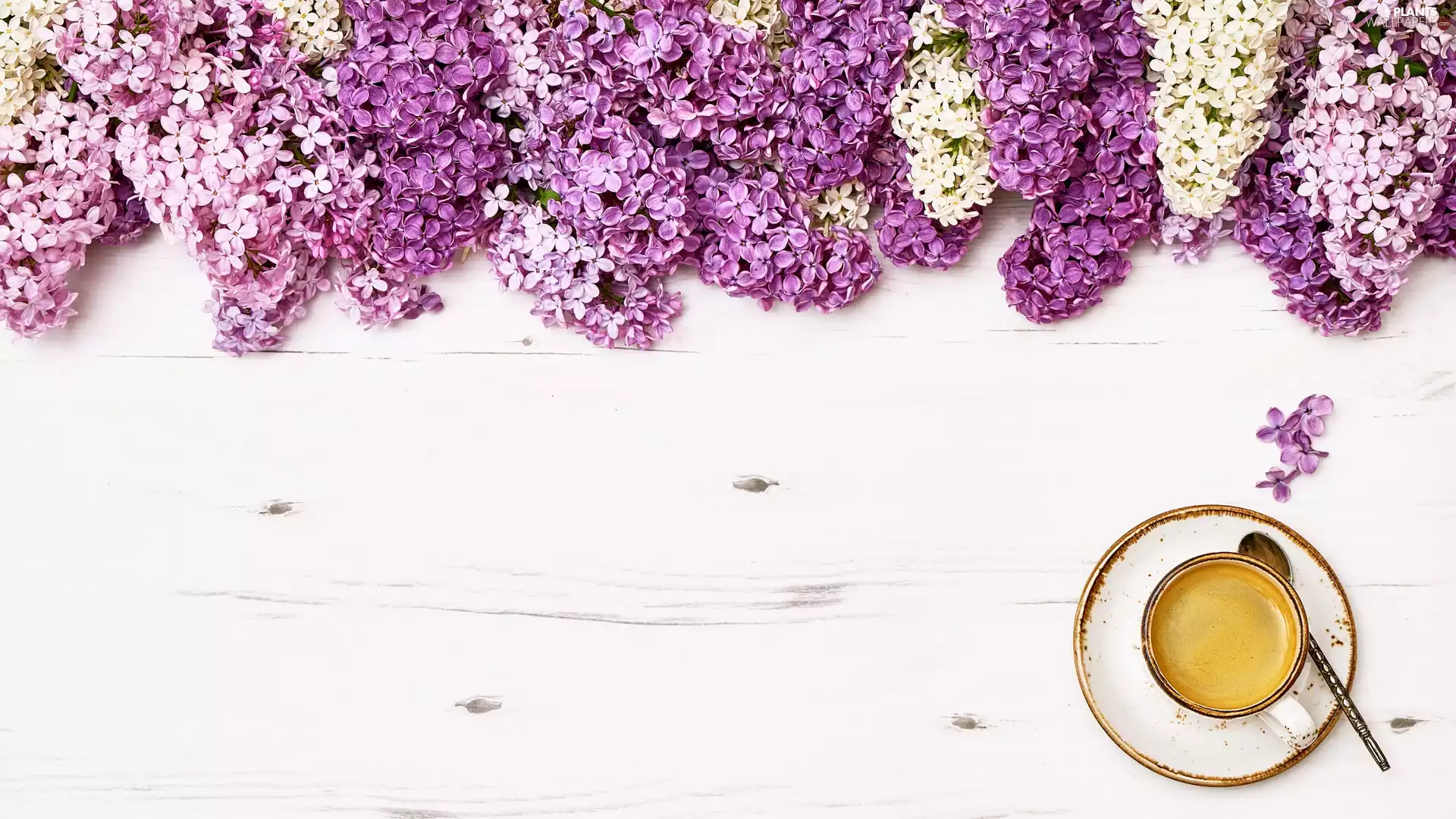 coffee, without, plate, cup, Flowers, teaspoon, boarding