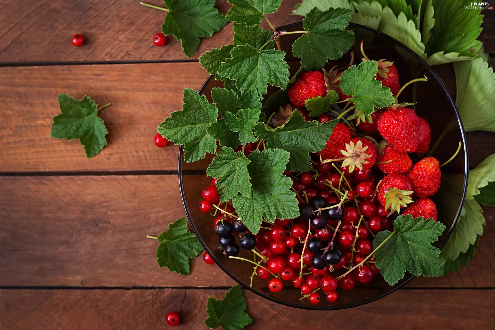strawberries, bowl, leaves, currants