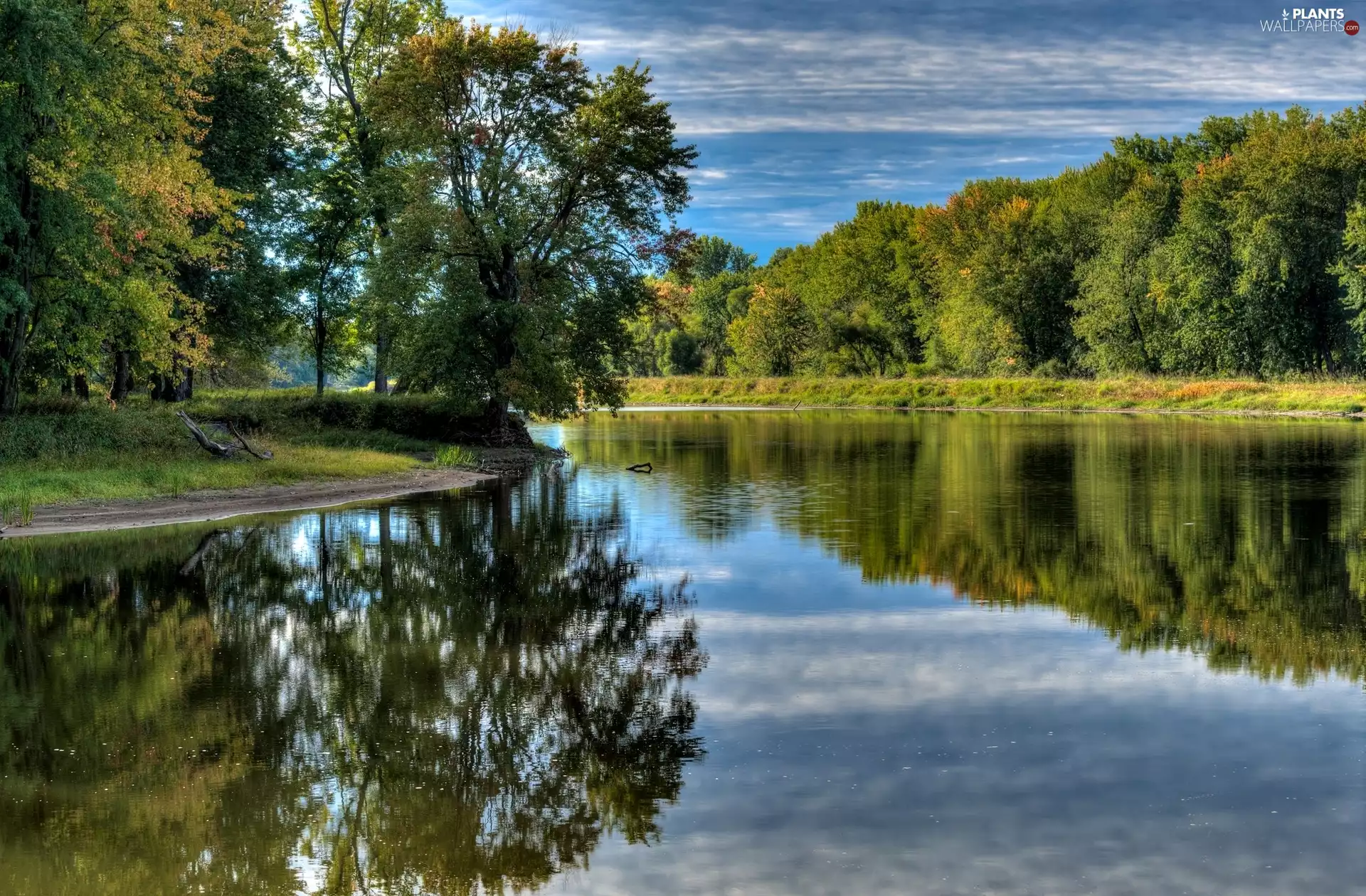 River, trees, viewes, curve